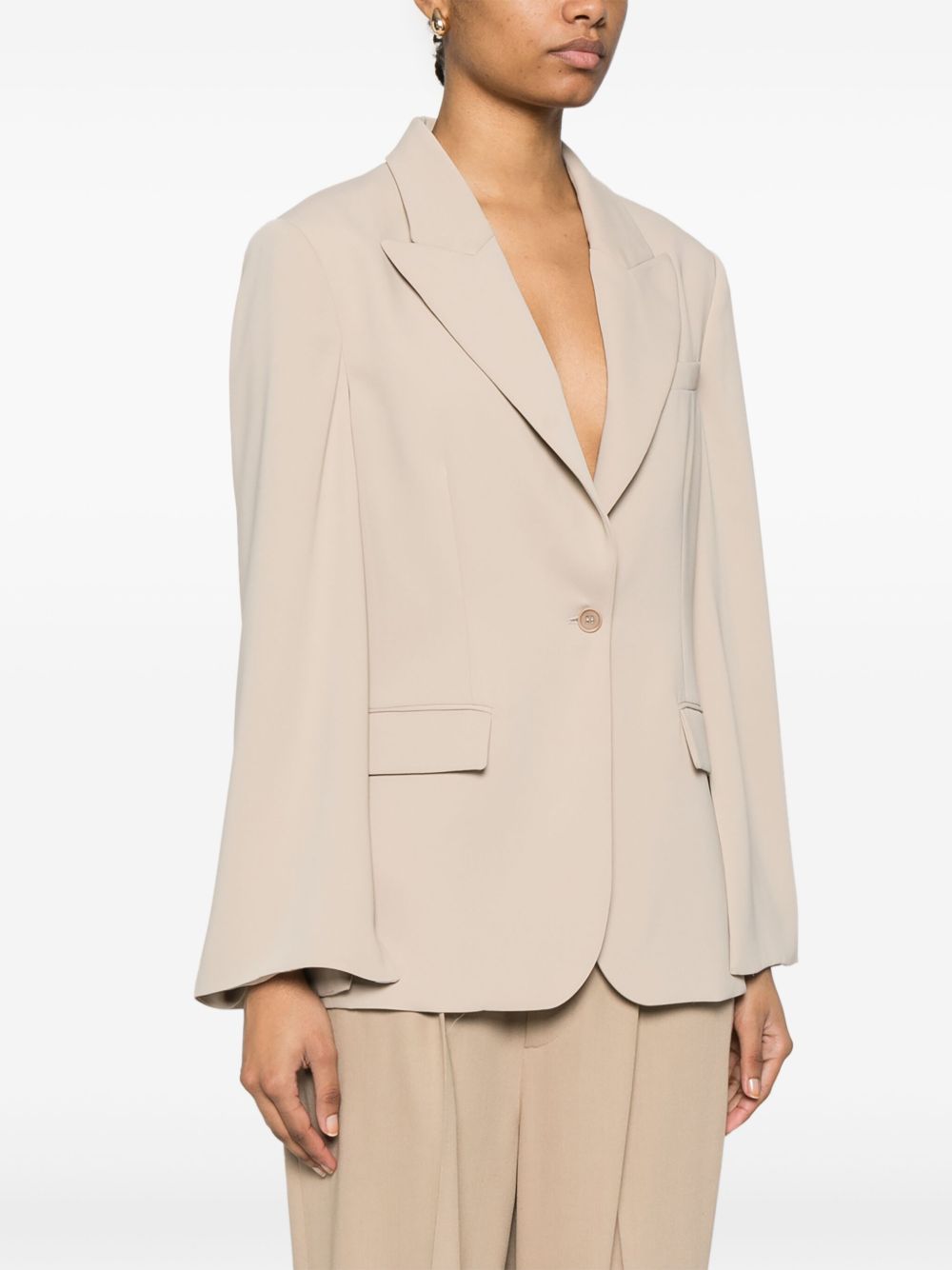 P.A.R.O.S.H. Single-Breasted Blazer