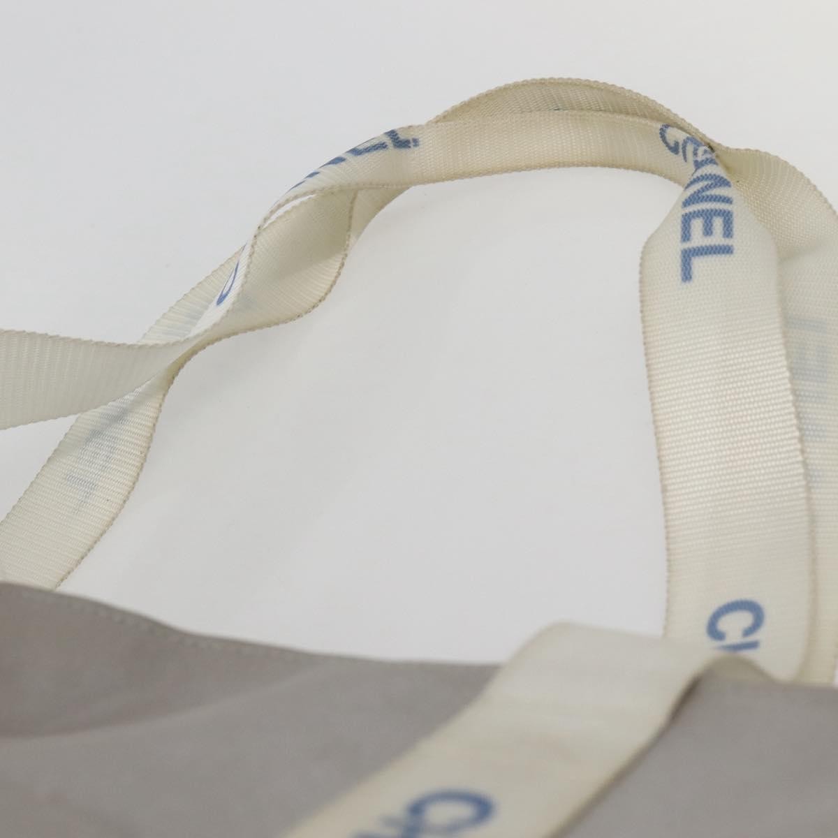 Chanel Sport Line Nylon Gray Nylon Tote Bag Bag (Pre-Owned)