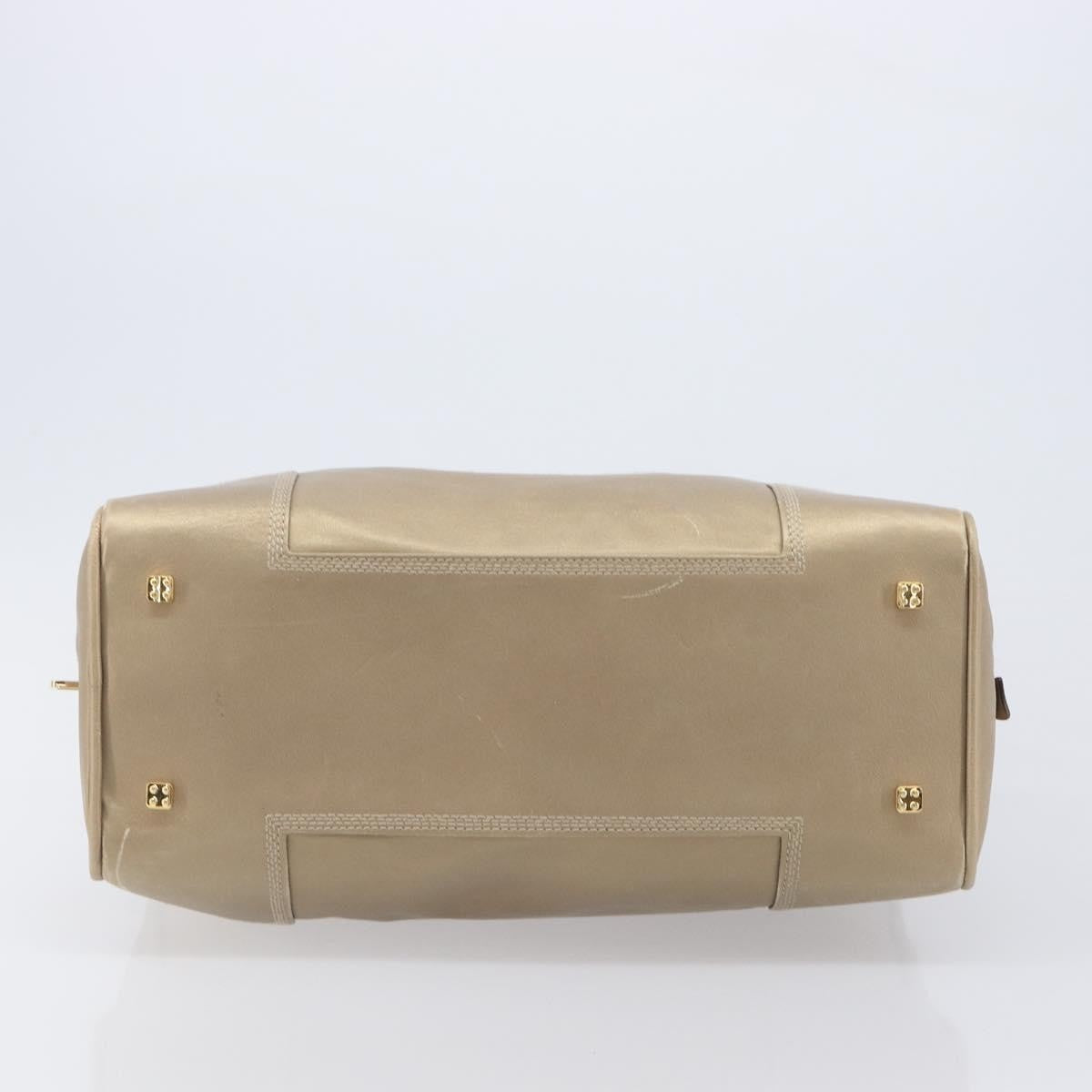 Loewe Amazona Leather Gold Leather Handbag (Pre-Owned)