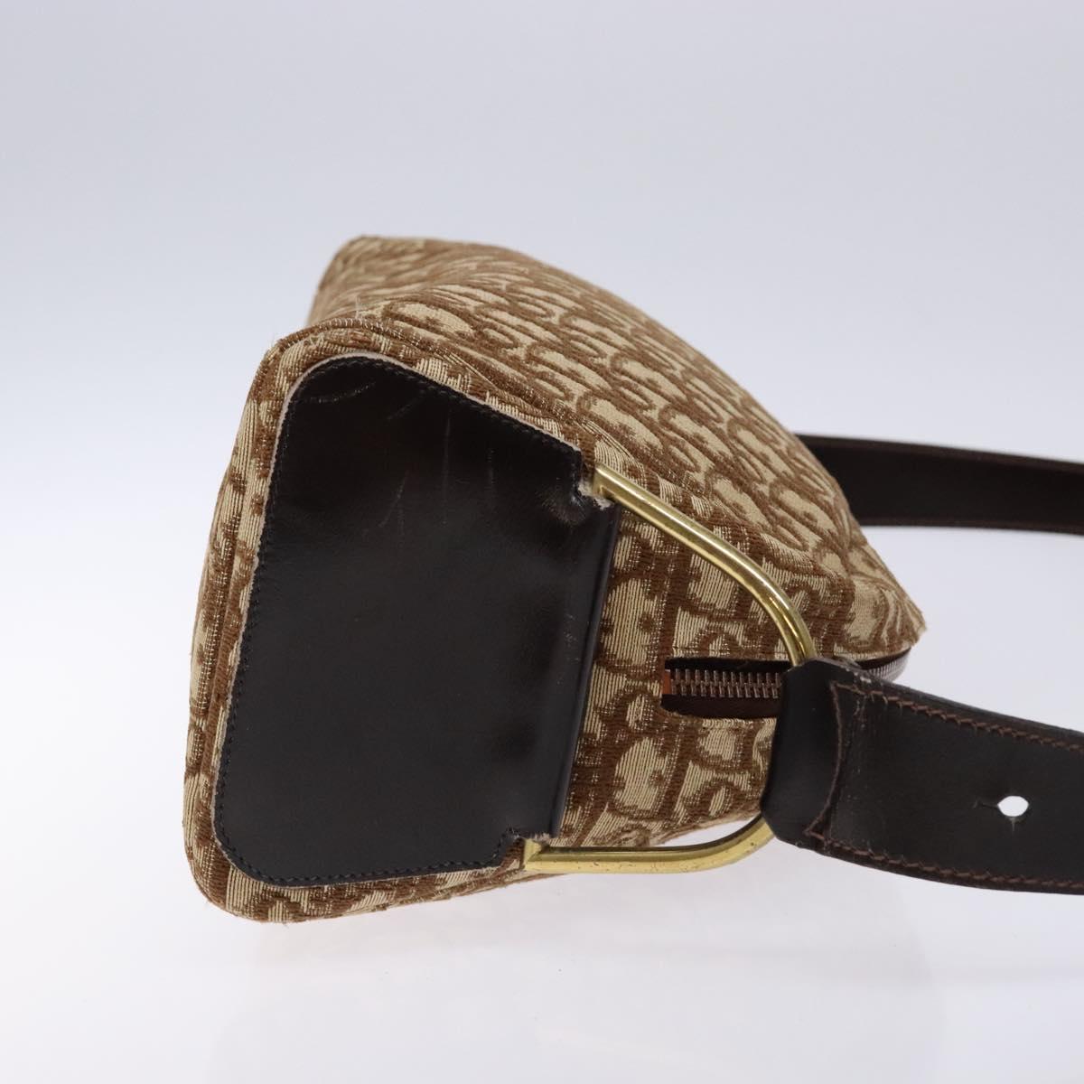 Dior Trotter Brown,Gold Canvas Shoulder Bag (Pre-Owned)