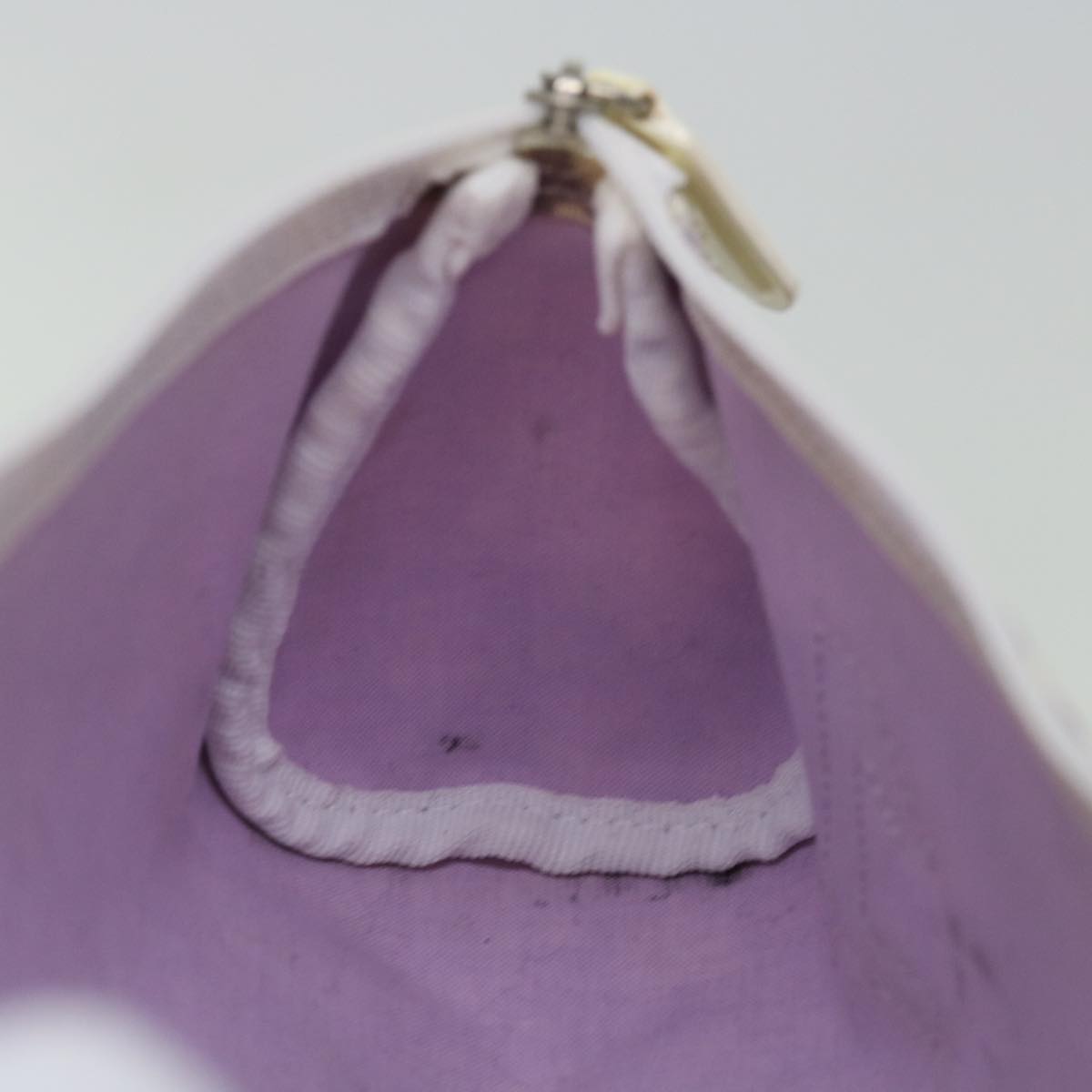 Dior Trotter Purple Canvas Clutch Bag (Pre-Owned)