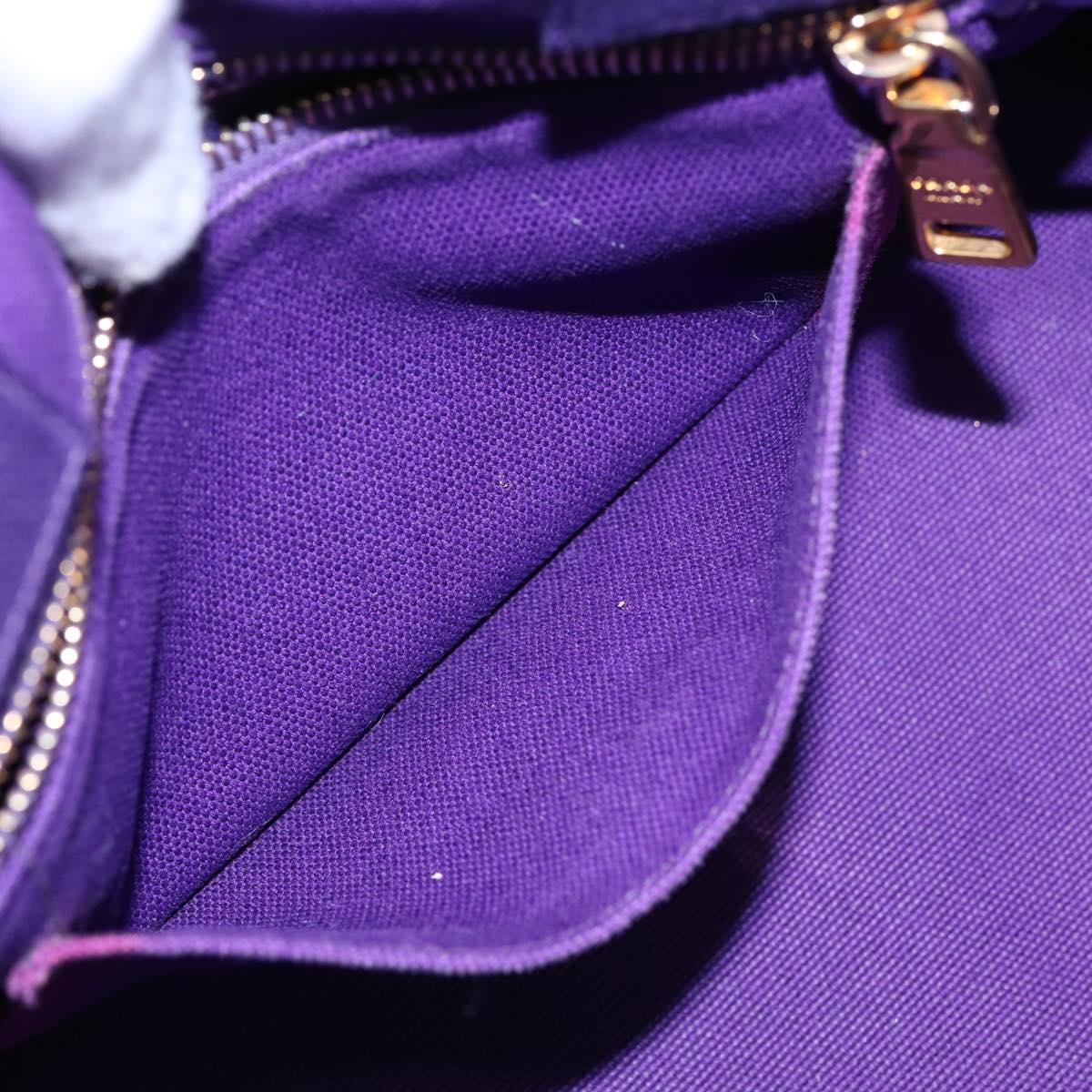 Prada Canapa Purple Canvas Handbag (Pre-Owned)