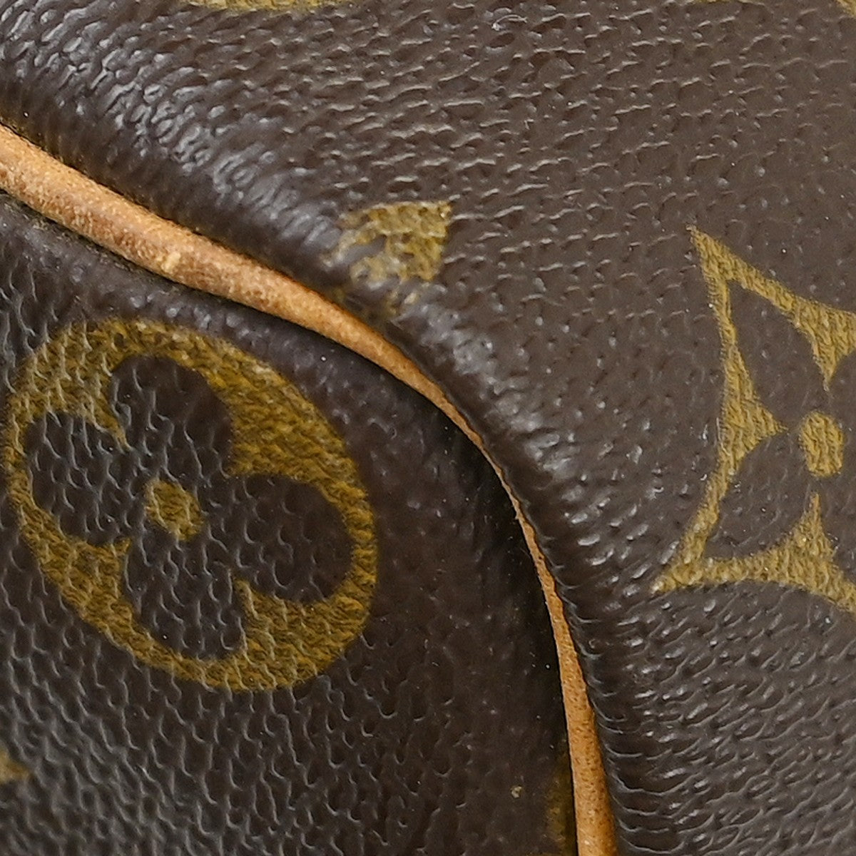 Louis Vuitton Speedy Monogram Canvas Brown Canvas Handbag (Pre-Owned)
