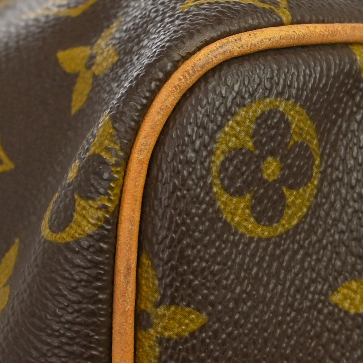 Louis Vuitton Speedy Monogram Brown Canvas Handbag (Pre-Owned)