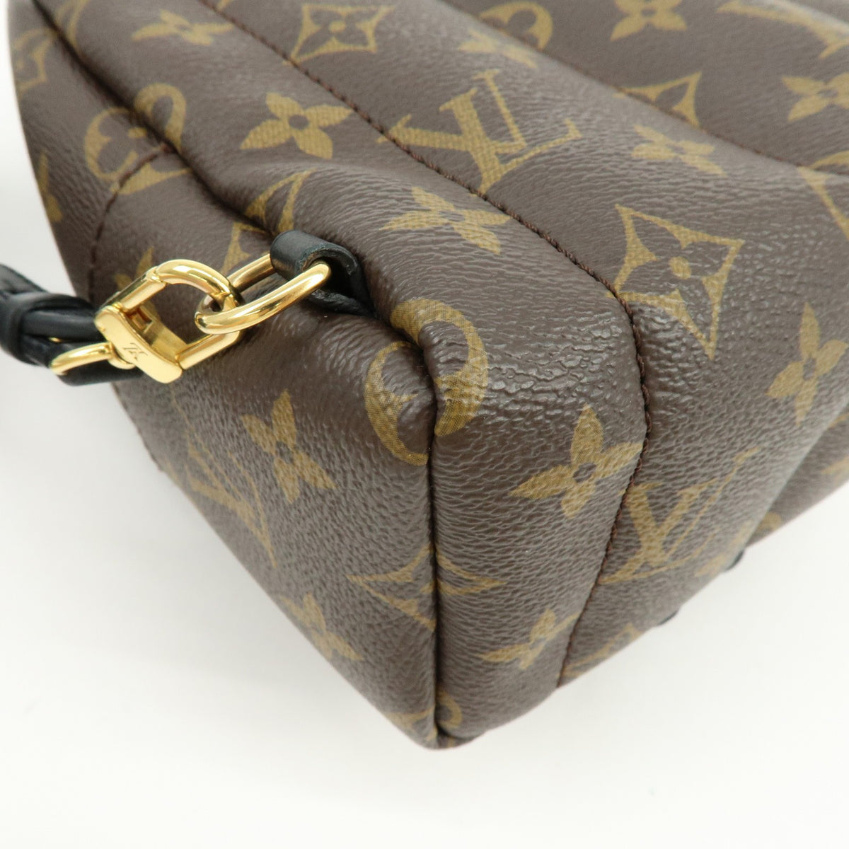 Louis Vuitton Palm Springs Monogram Canvas Brown Canvas Backpack Bag (Pre-Owned)