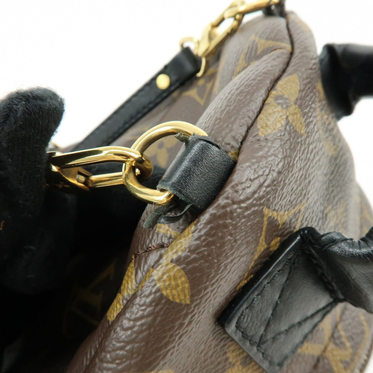 Louis Vuitton Palm Springs Monogram Canvas Brown Canvas Backpack Bag (Pre-Owned)