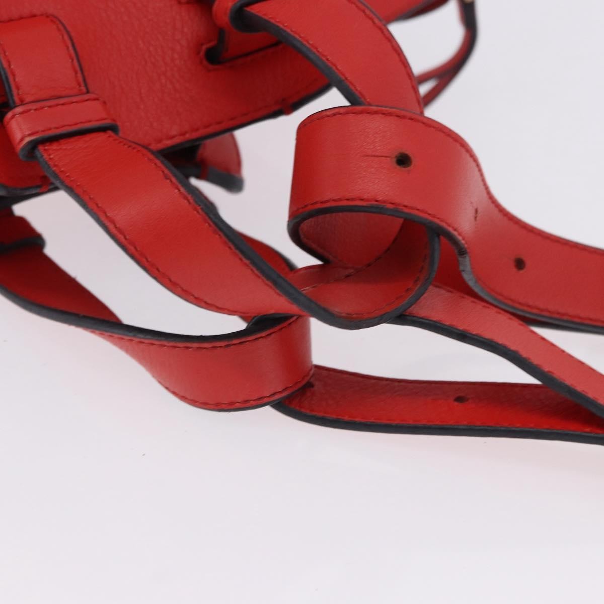 Loewe Hammock Leather Red Leather Handbag (Pre-Owned)