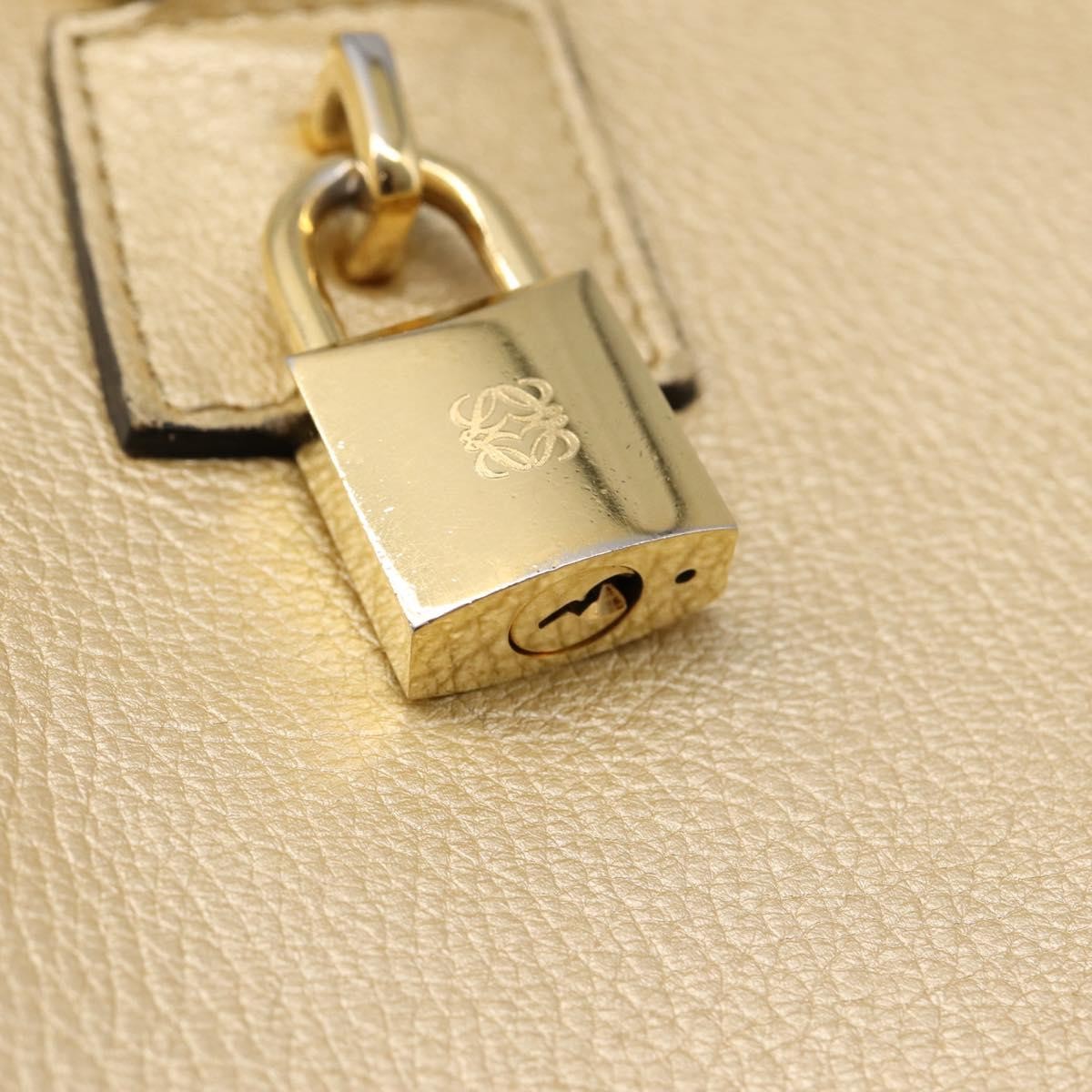 Loewe Amazona Leather Gold Leather Handbag (Pre-Owned)