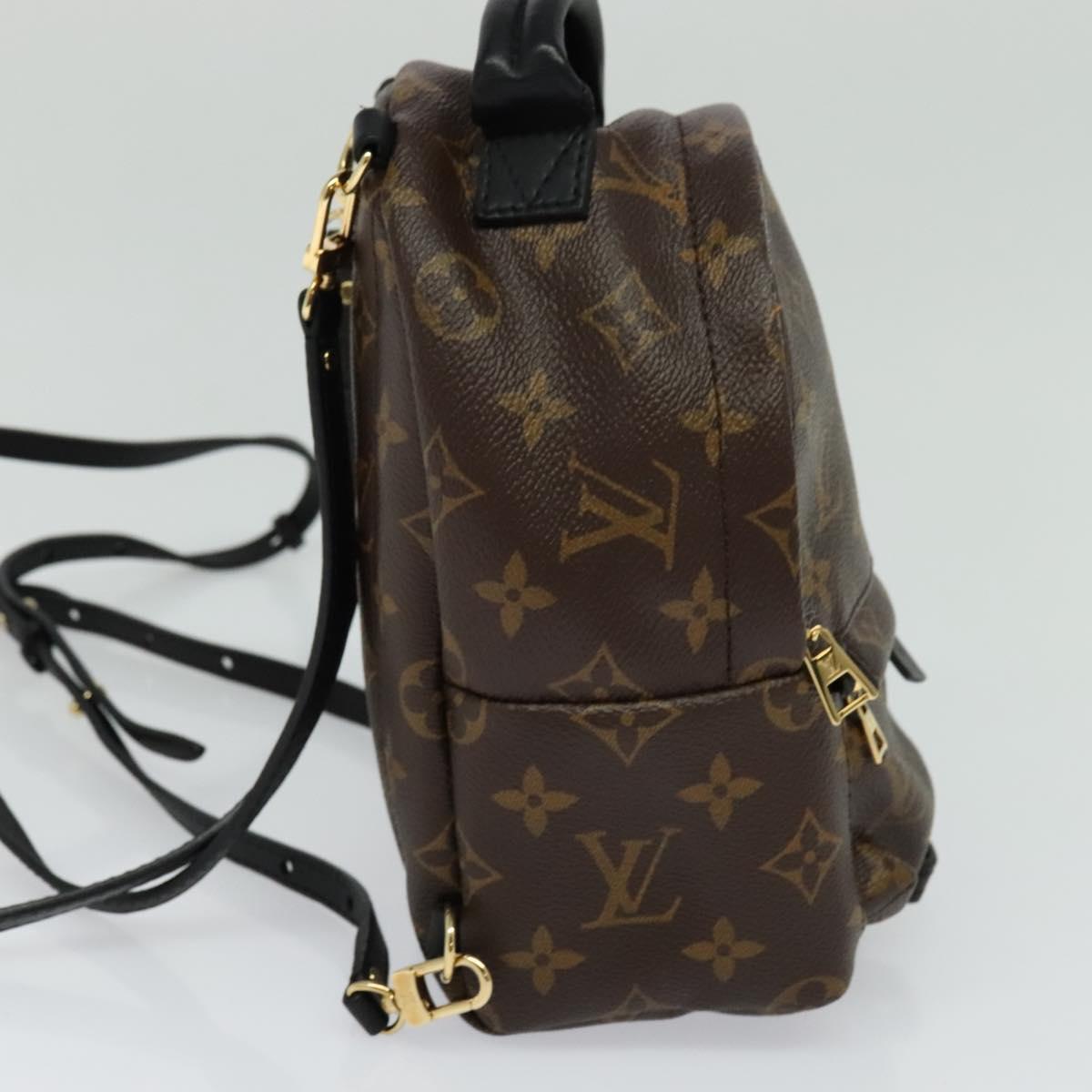 Louis Vuitton Palm Springs Monogram Canvas Brown Canvas Backpack Bag (Pre-Owned)