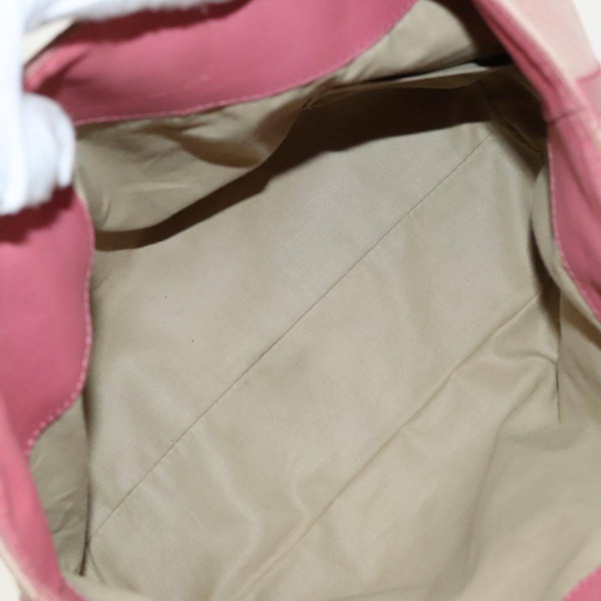 Bottega Veneta Pink Canvas Handbag (Pre-Owned)