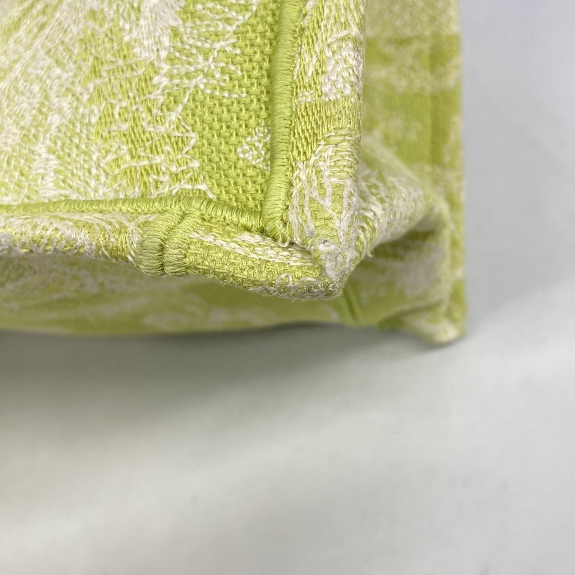 Christian Dior Light Green Canvas Tote Bag (Pre-Owned)