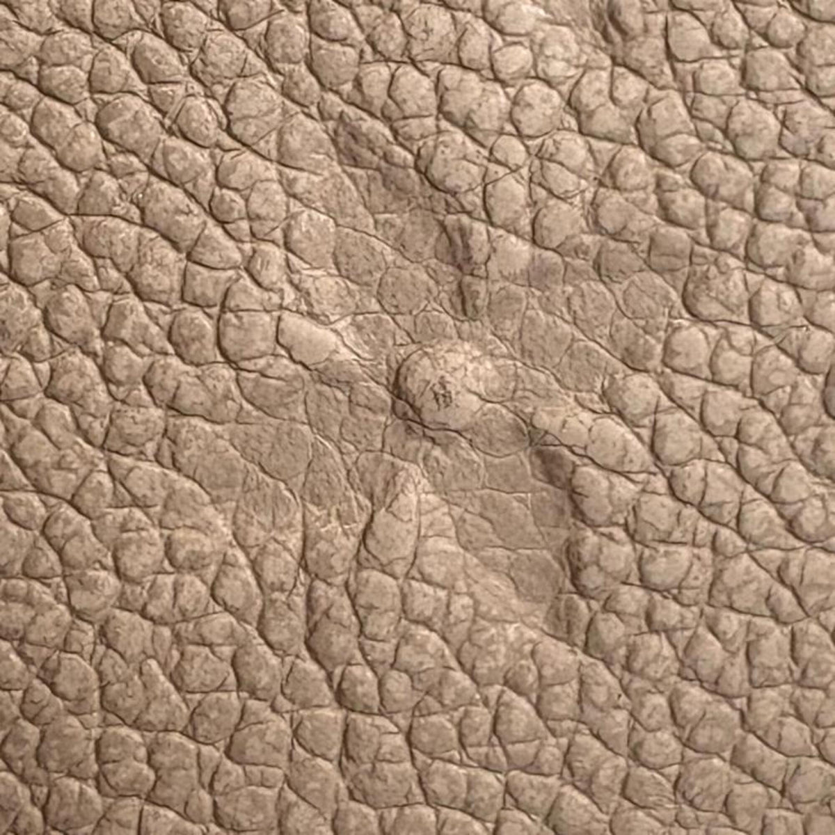 Louis Vuitton Beige Monogram Empreinte Coin Purse/Coin Case (Pre-Owned)