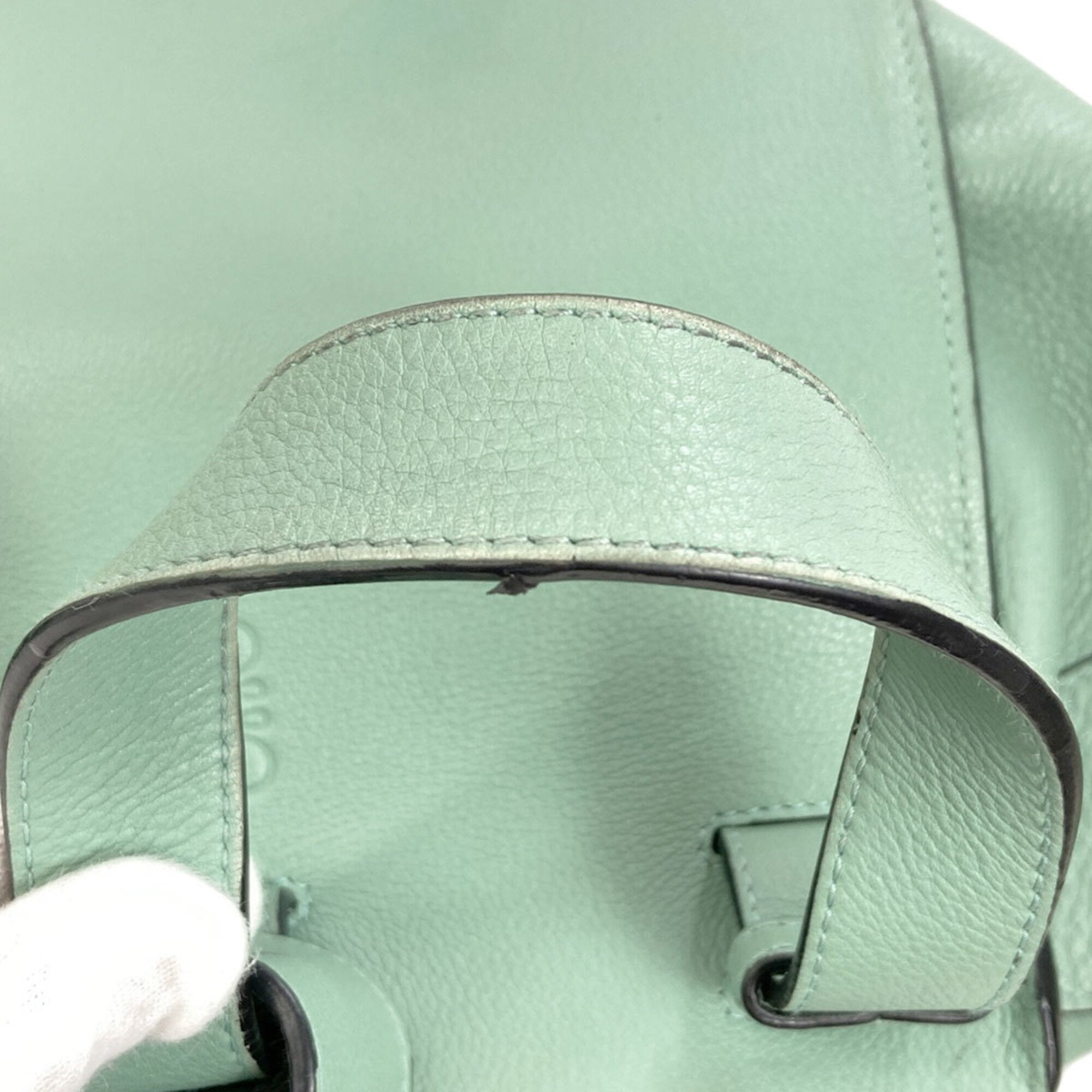 Loewe Light Green Leather Handbag Pouch (Pre-Owned)