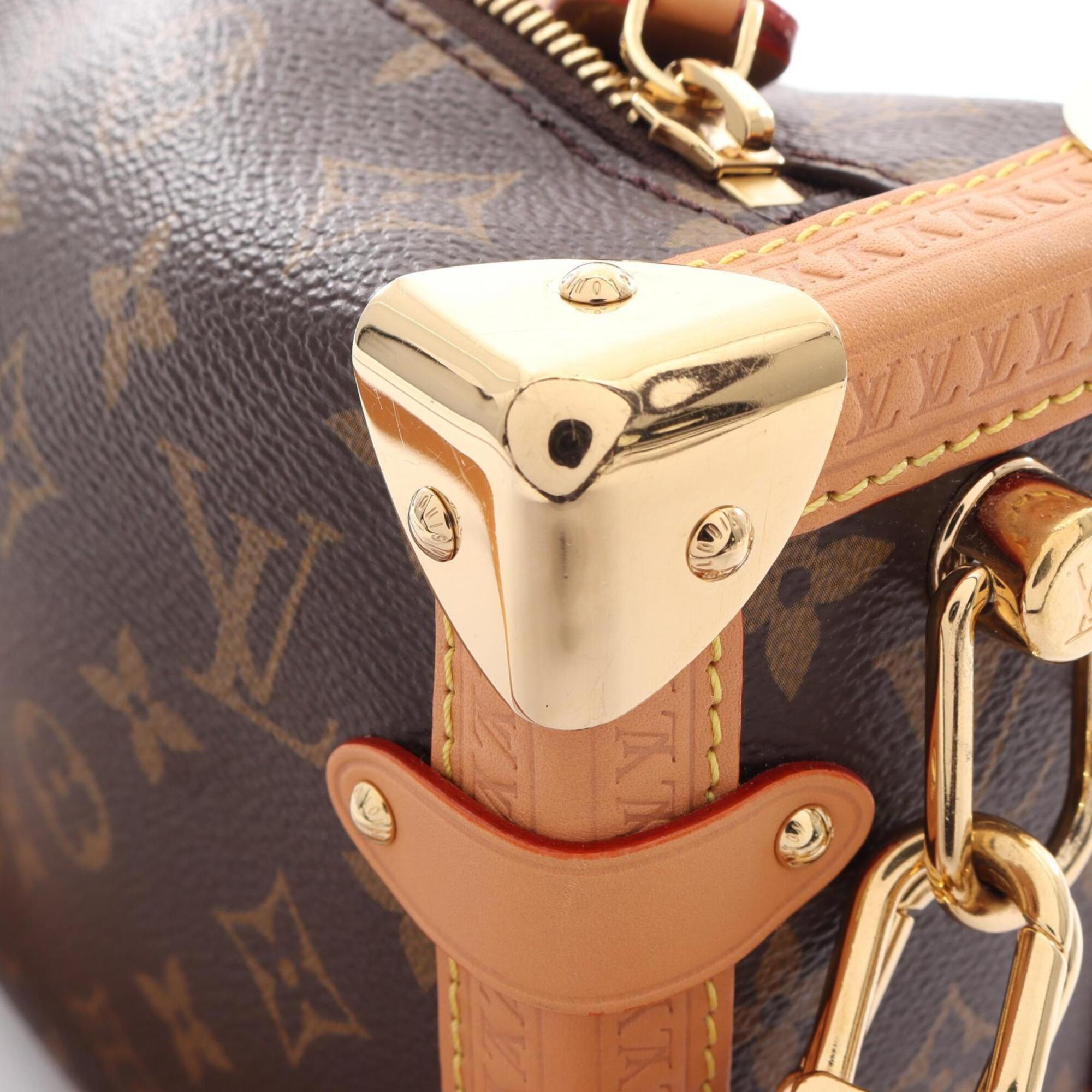 Louis Vuitton Brown Coated Canvas Leather Handbag (Pre-Owned)