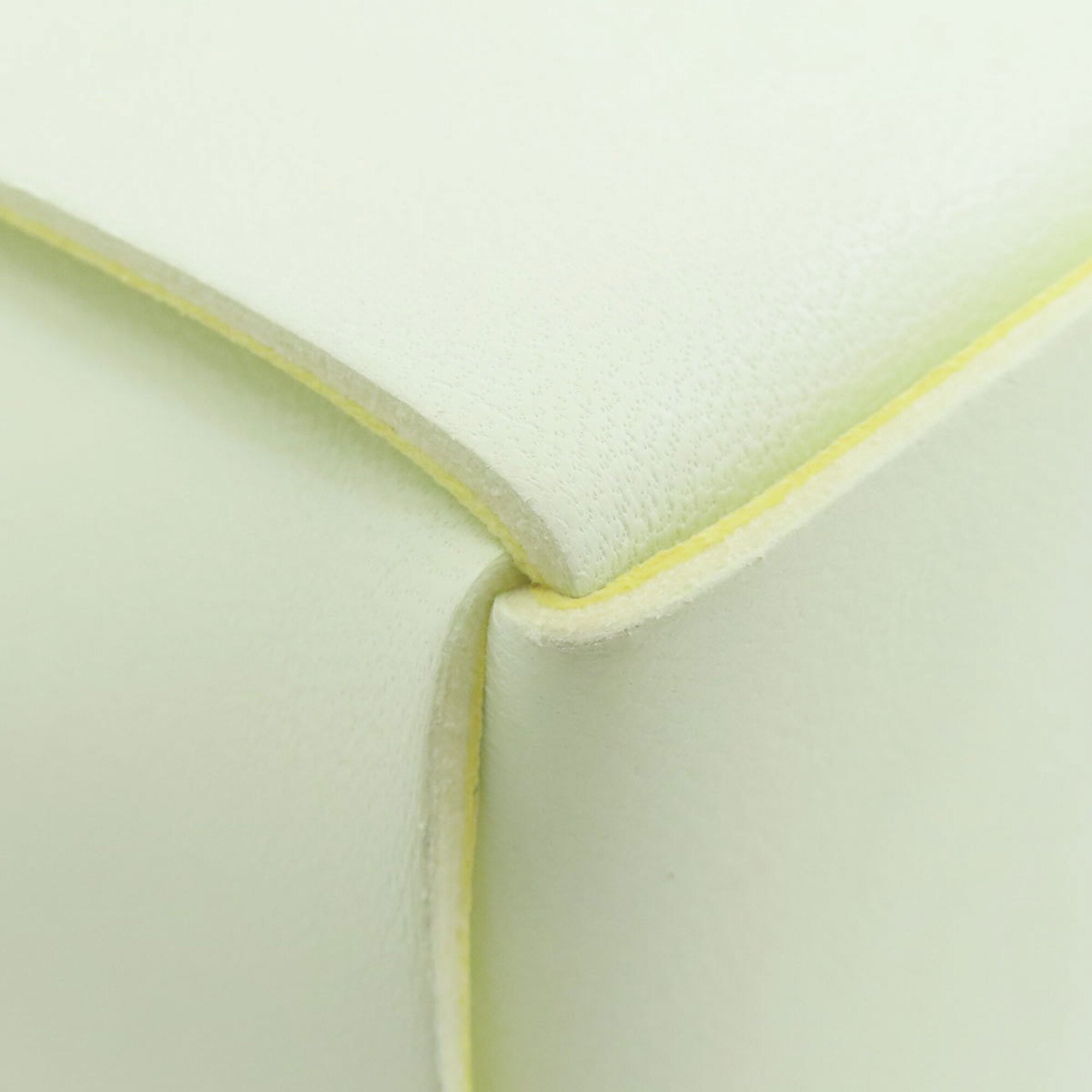 Bottega Veneta Green White Leather Handbag Pouch (Pre-Owned)
