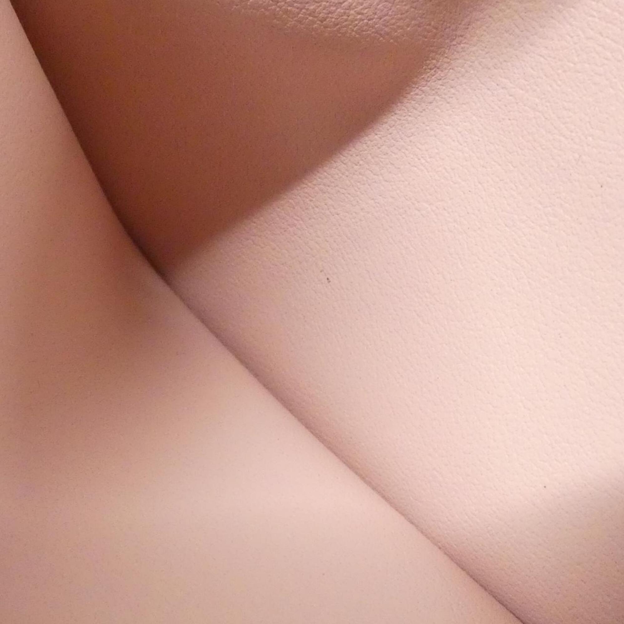 Louis Vuitton Magnolia Pink Leather Long Wallet (Bi-Fold) (Pre-Owned)