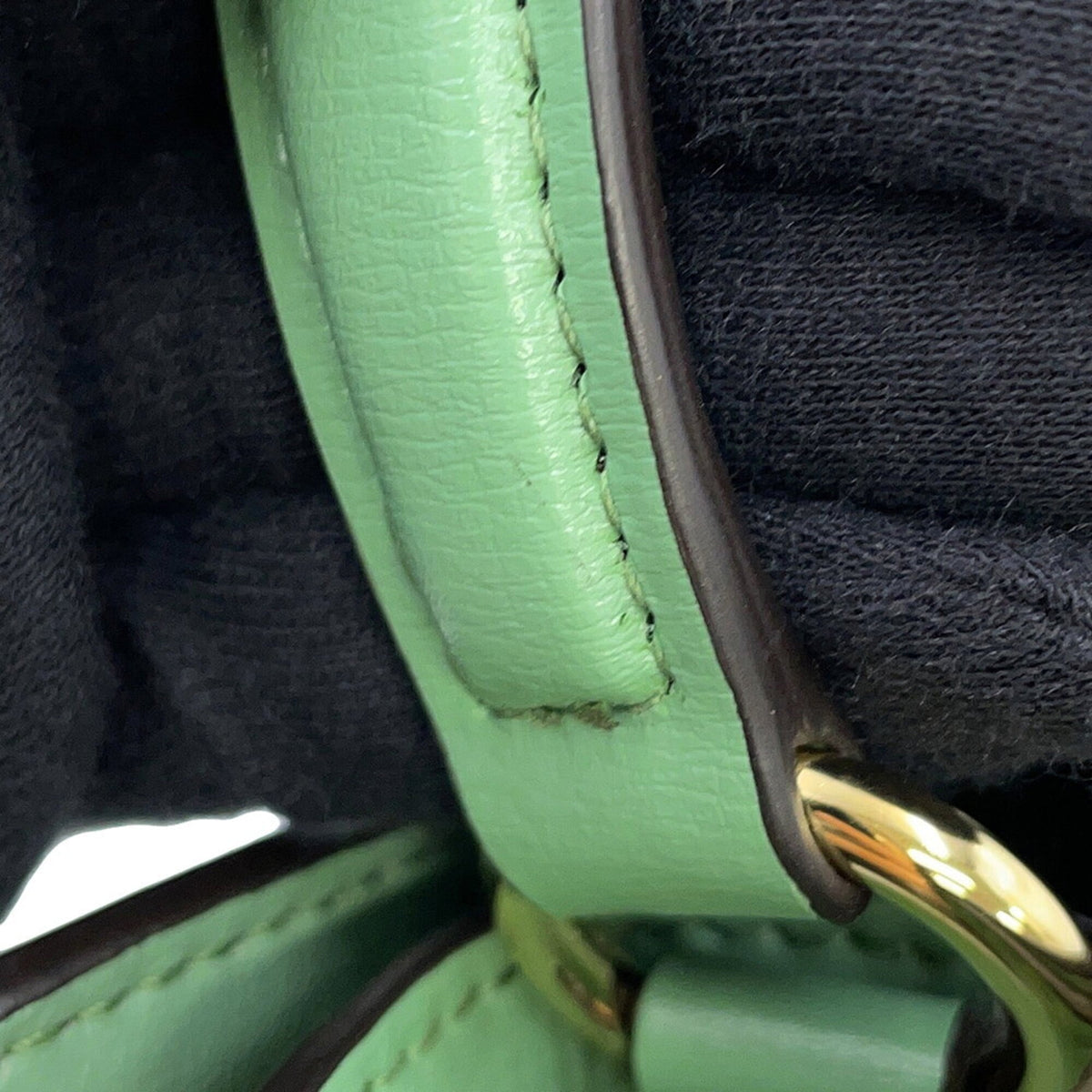 Salvatore Ferragamo Light Green Leather Shoulder Bag (Pre-Owned)