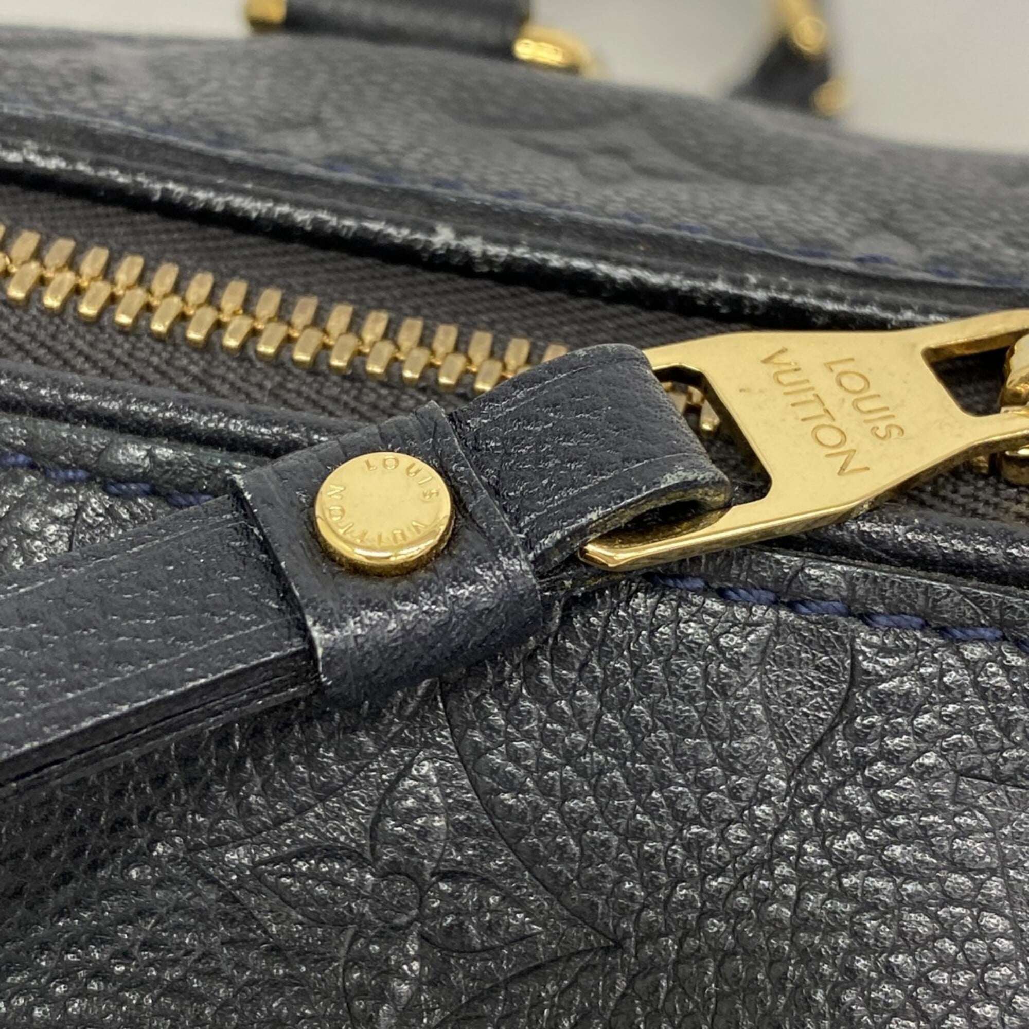 Louis Vuitton Infini Handbag (Pre-Owned)