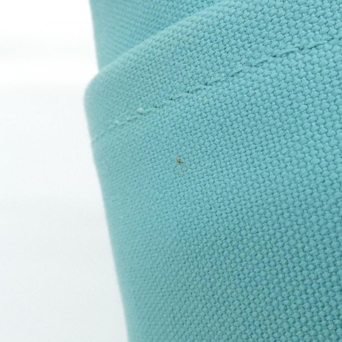 Tiffany Tiffany Blue Canvas Leather Handbag (Pre-Owned)