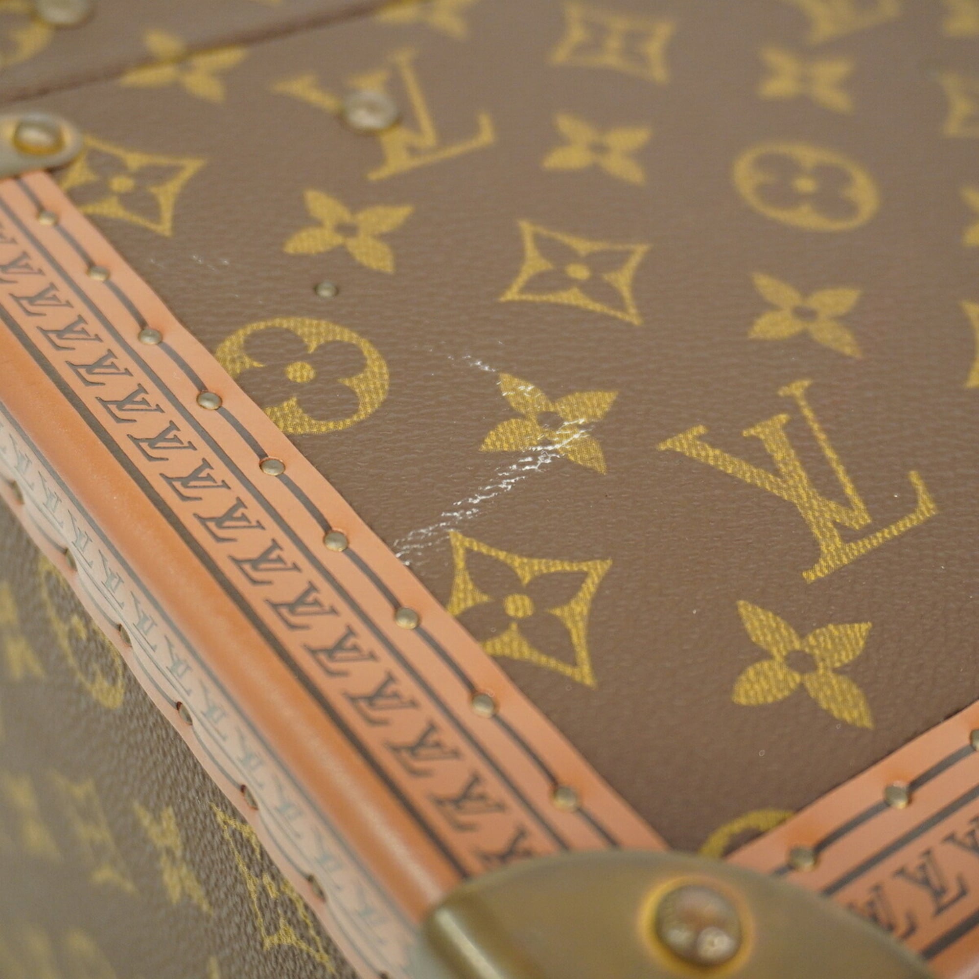 Louis Vuitton Brown Vanity Bag (Pre-Owned)