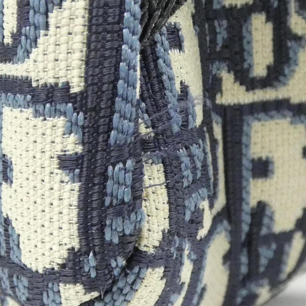 Christian Dior Blue Canvas Backpack (Pre-Owned)