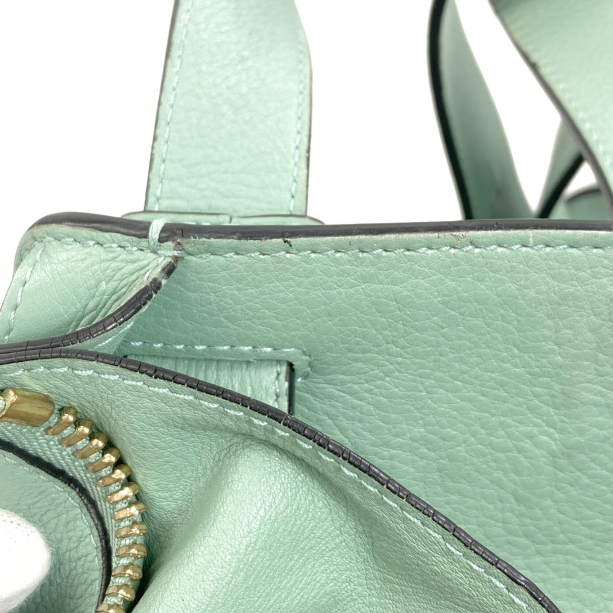Loewe Light Green Leather Handbag Pouch (Pre-Owned)