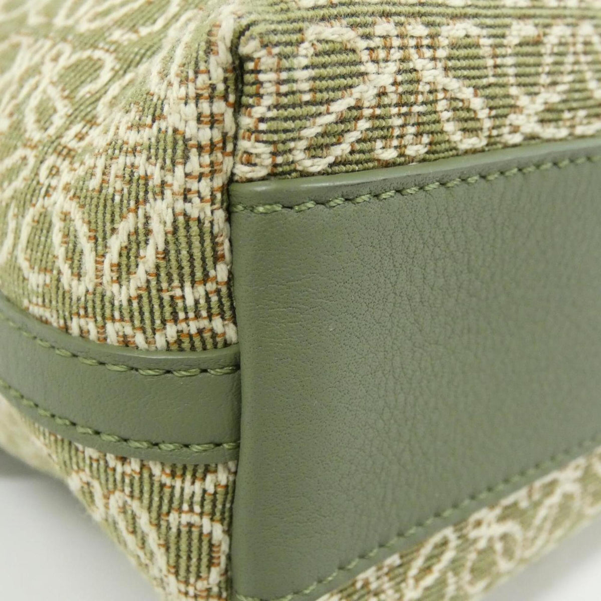 Loewe Green Canvas Leather Handbag (Pre-Owned)