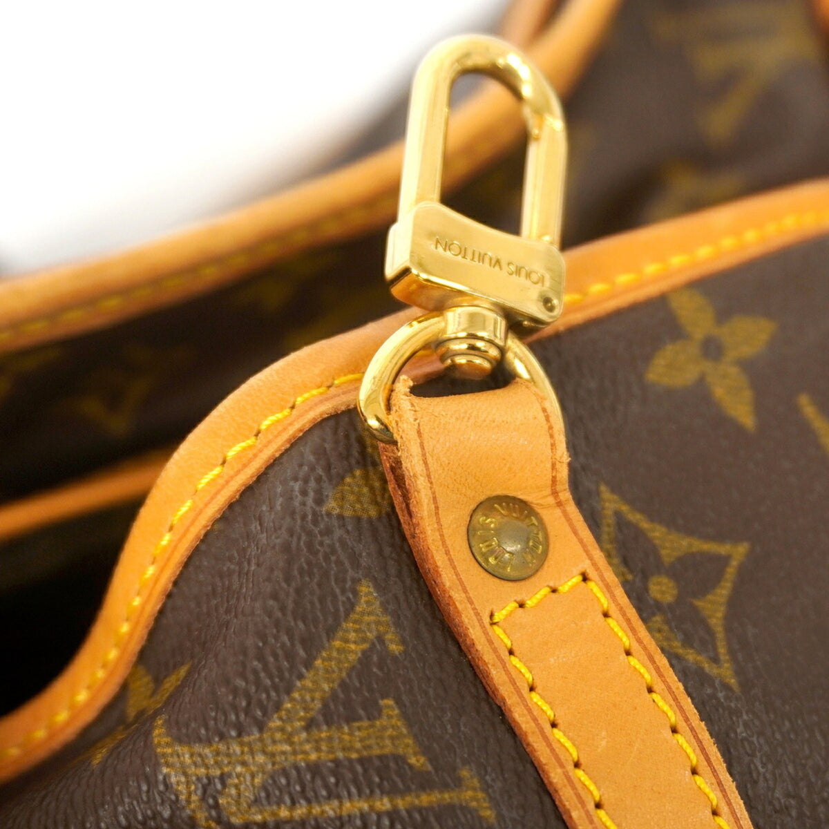 Louis Vuitton Brown Garment Case (Pre-Owned)