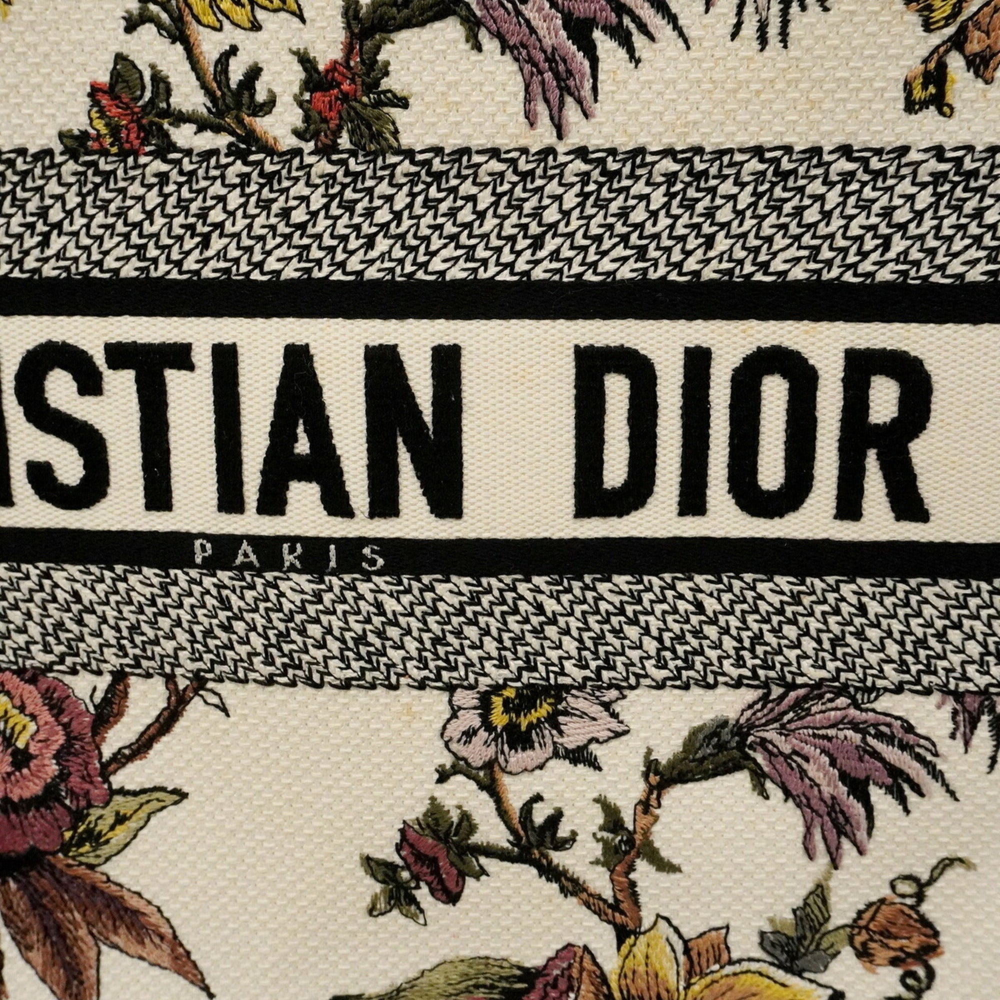 Christian Dior Multi-Color Canvas Tote Bag (Pre-Owned)