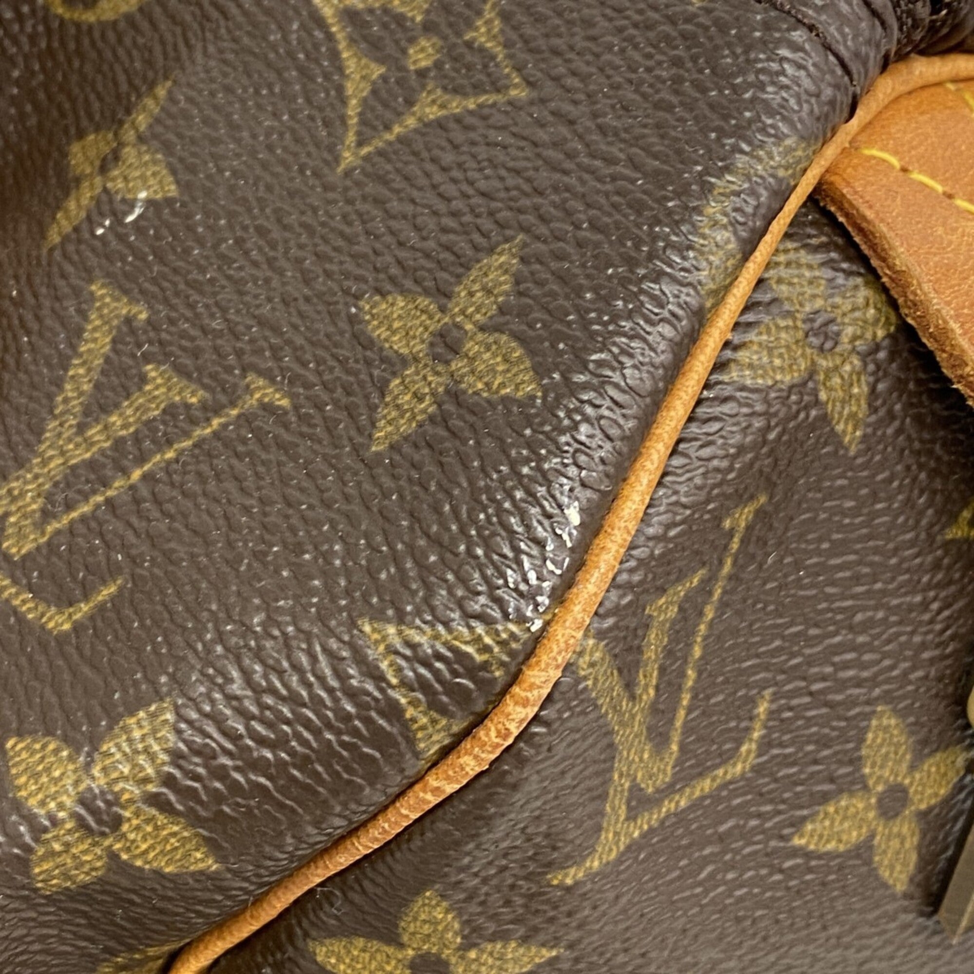 Louis Vuitton Brown Handbag (Pre-Owned)