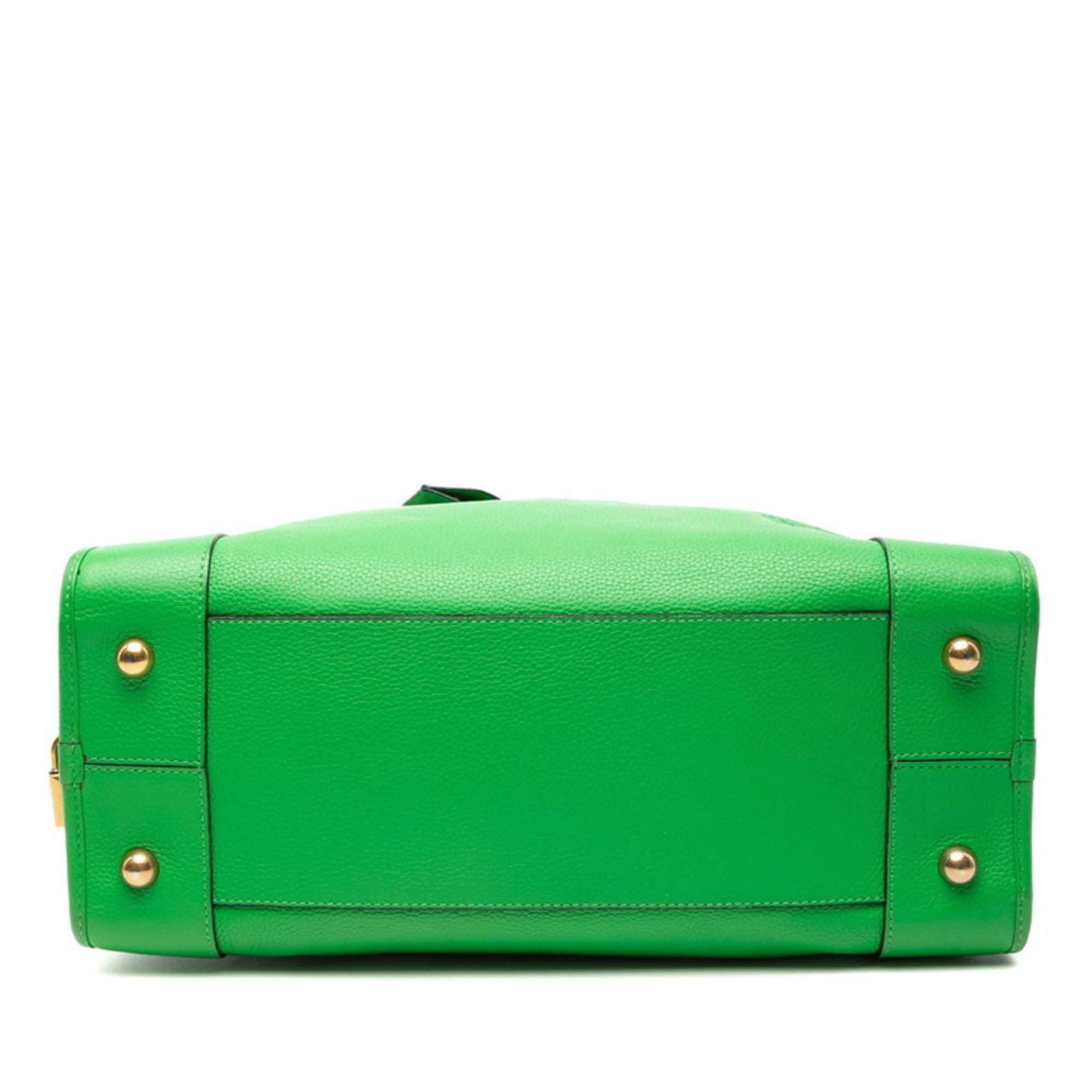Loewe Amazona Green Leather Handbag (Pre-Owned)