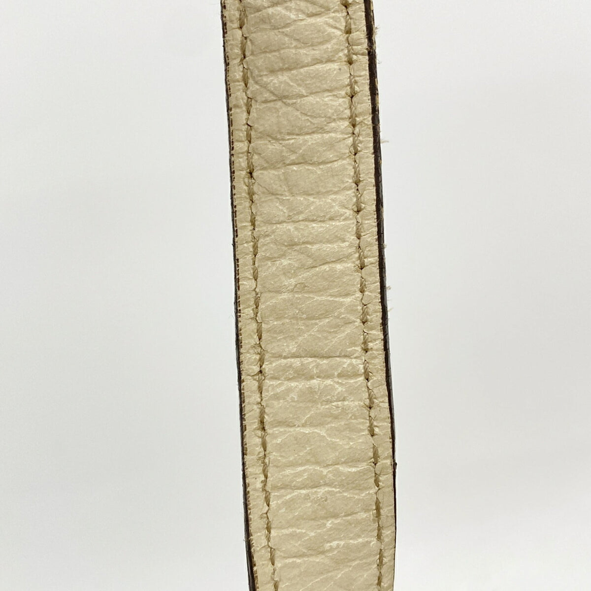 Gucci Brown Canvas Tote Bag (Pre-Owned)