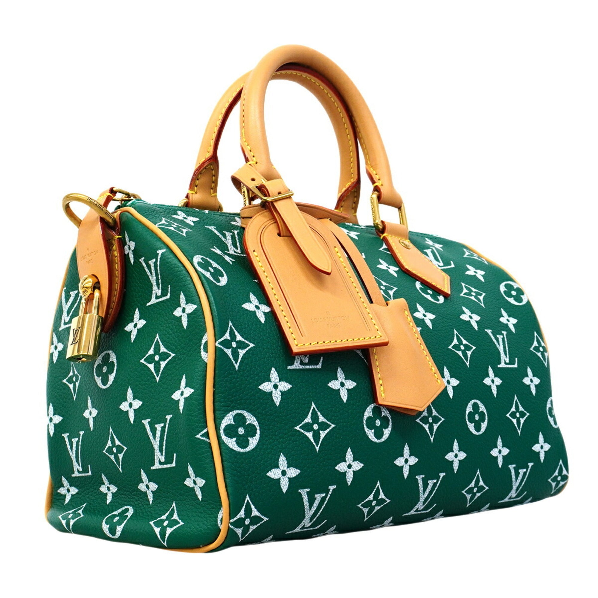 Louis Vuitton Vert Handbag (Pre-Owned)