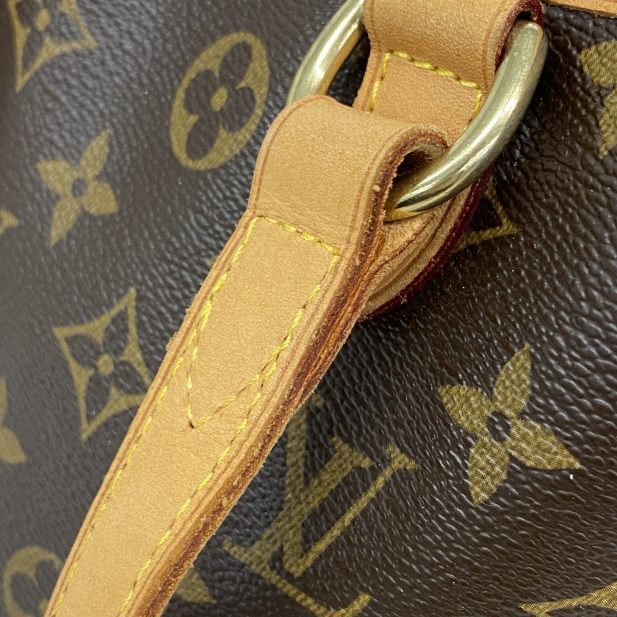 Louis Vuitton Brown Tote Bag (Pre-Owned)