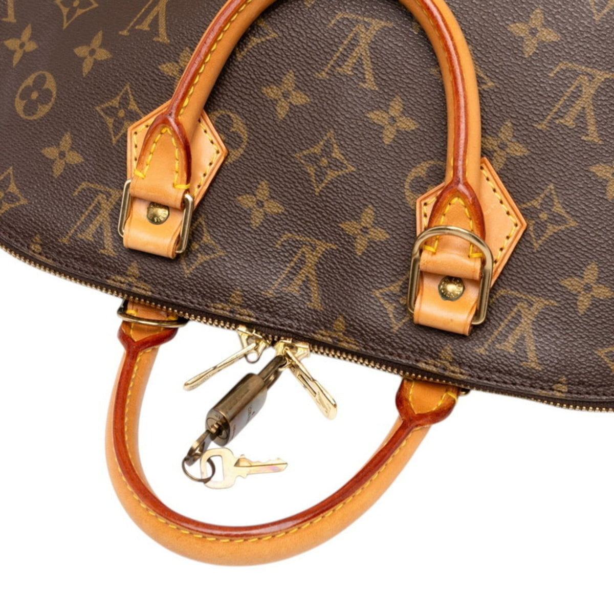 Louis Vuitton Brown Pvc Leather Handbag (Pre-Owned)