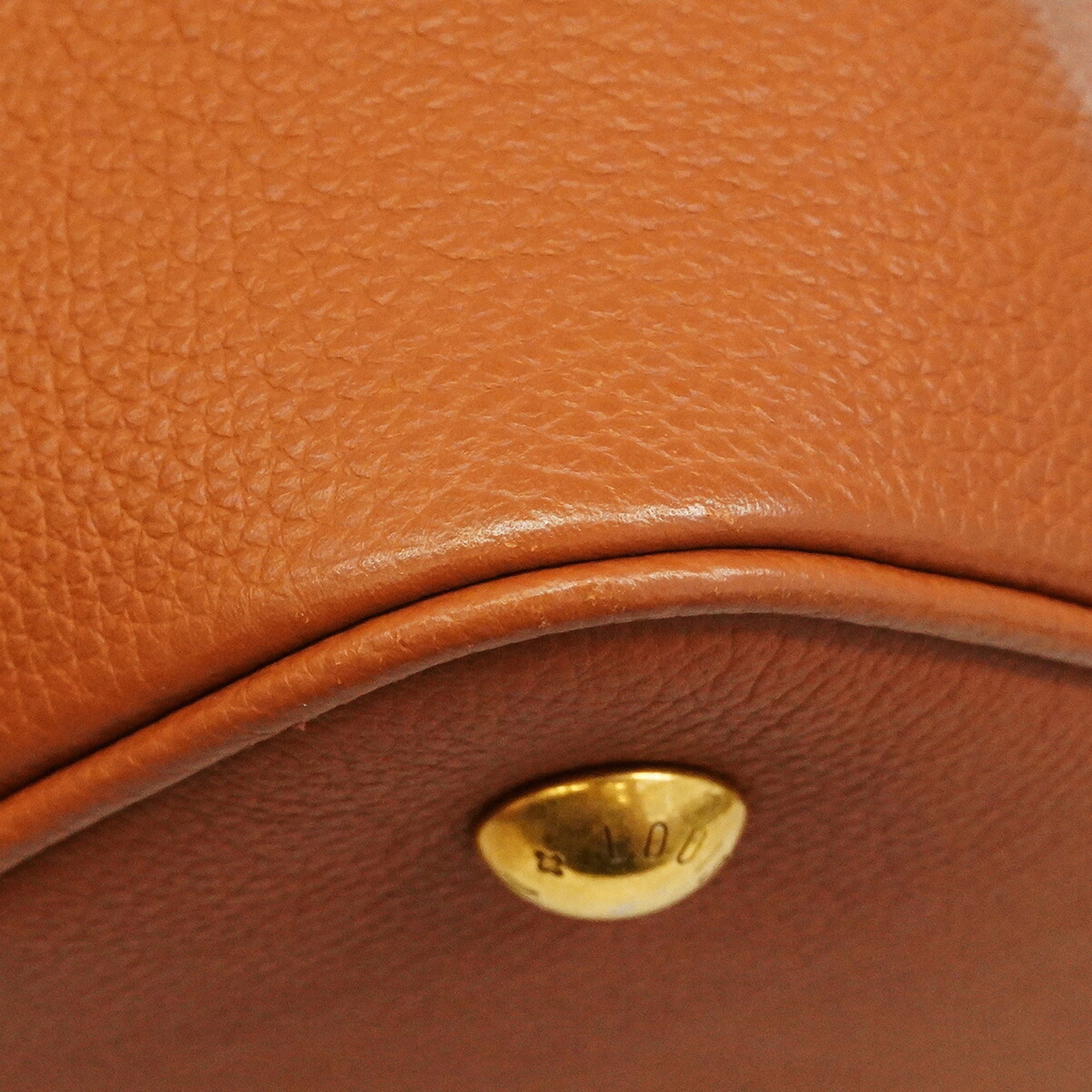 Louis Vuitton Cognac Handbag (Pre-Owned)
