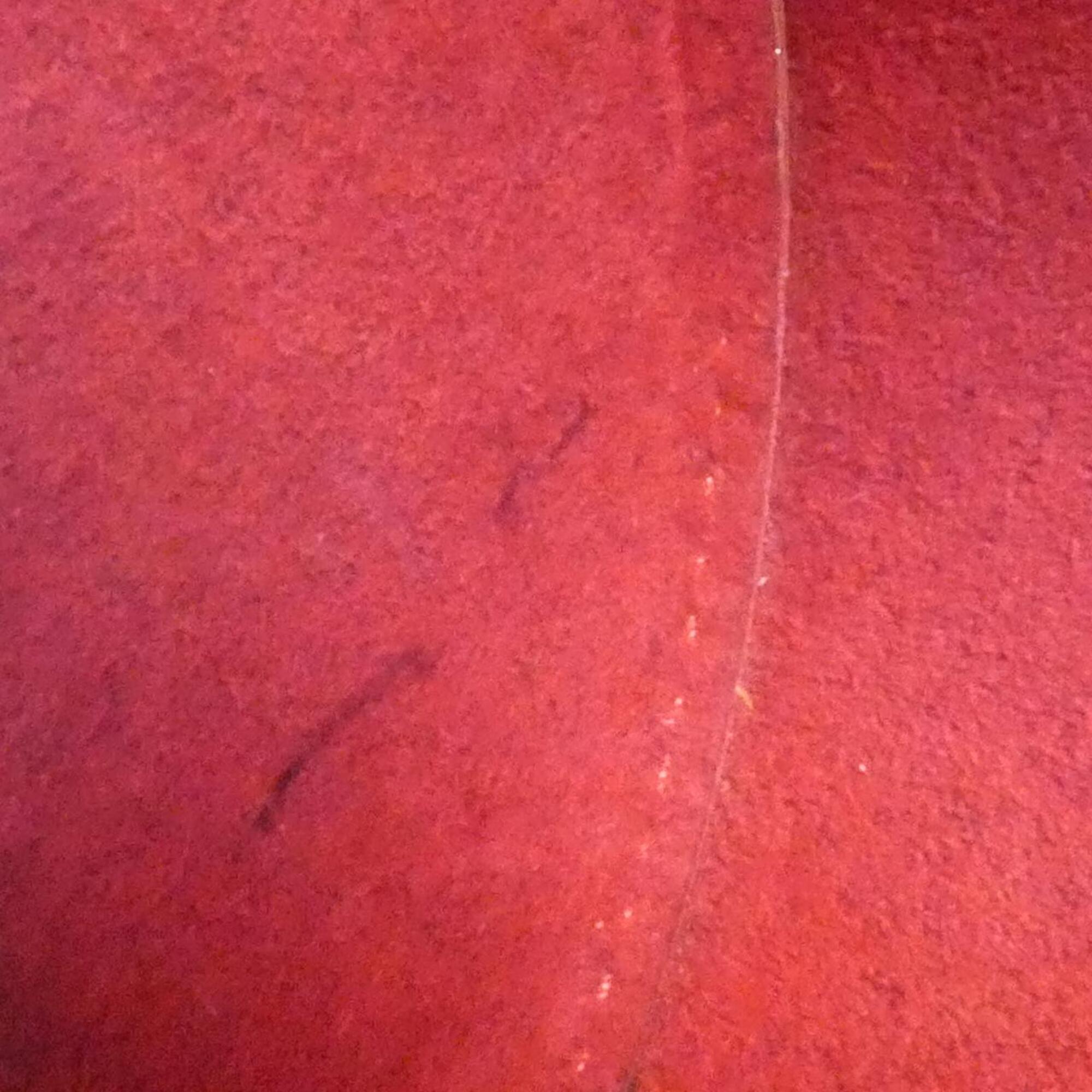 Louis Vuitton Red Color Leather Handbag (Pre-Owned)