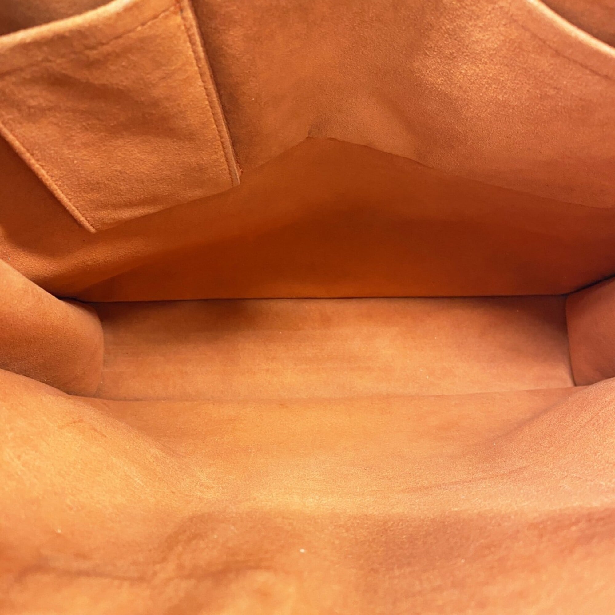 Louis Vuitton Ebene Tote Bag (Pre-Owned)