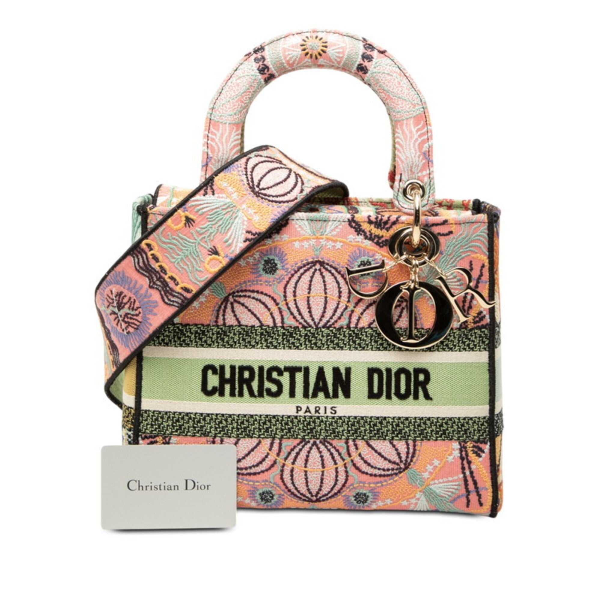 Christian Dior Multi-Color Canvas Handbag Shoulder Bag (Pre-Owned)