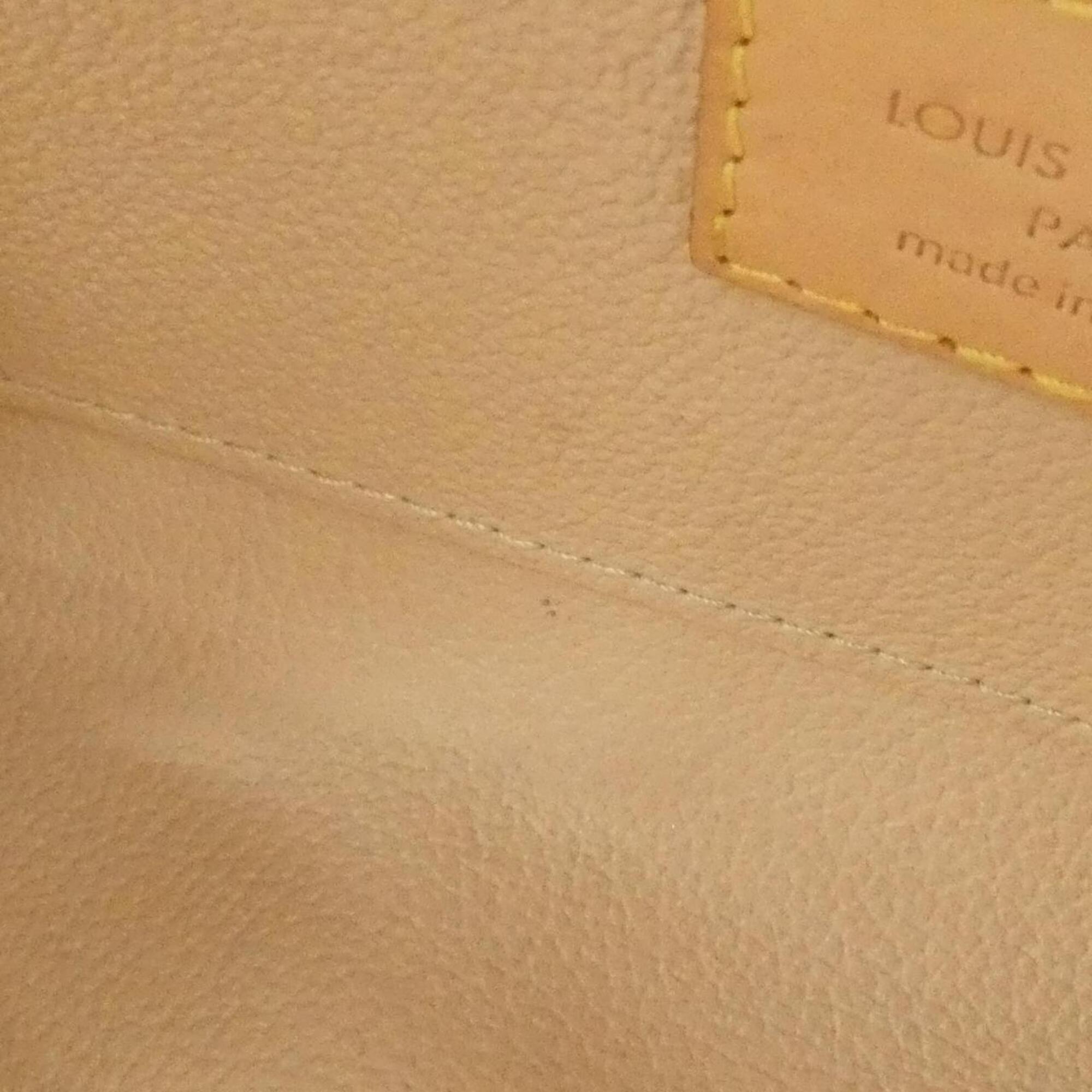 Louis Vuitton Marron Monogram Monogram Handbag Pochette Pouch (Pre-Owned)