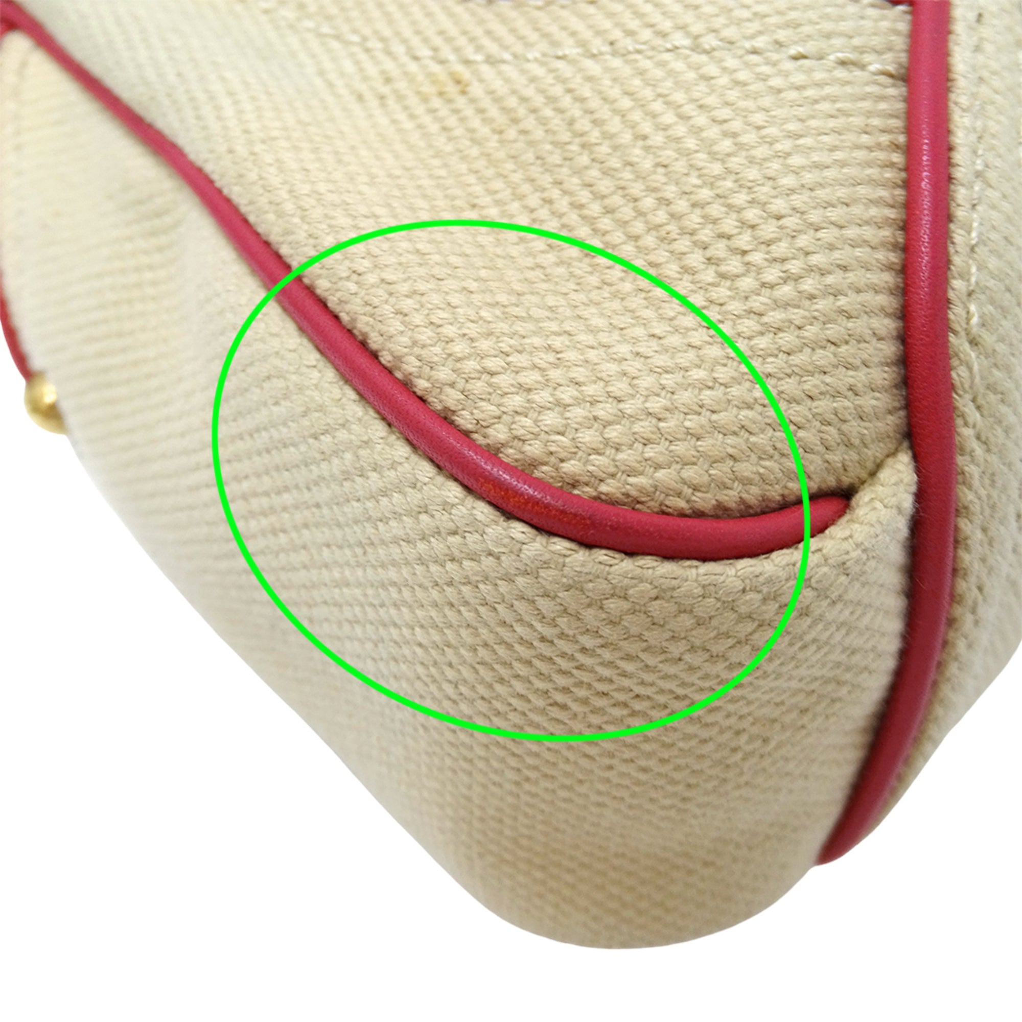 Celine Beige Pink Canvas Handbag Shoulder Bag (Pre-Owned)