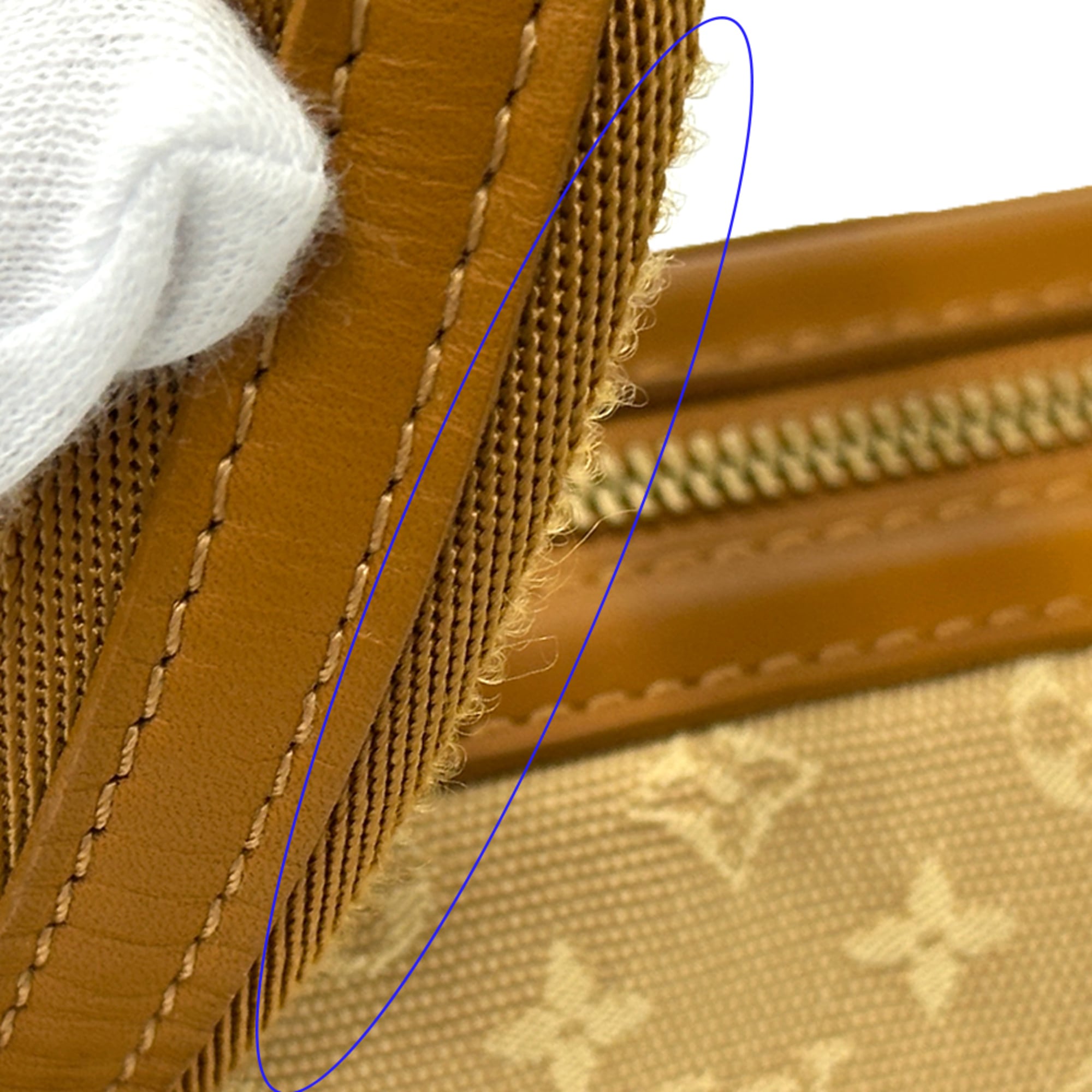 Louis Vuitton Beige Brown Monogram Mini Canvas Handbag (Pre-Owned)