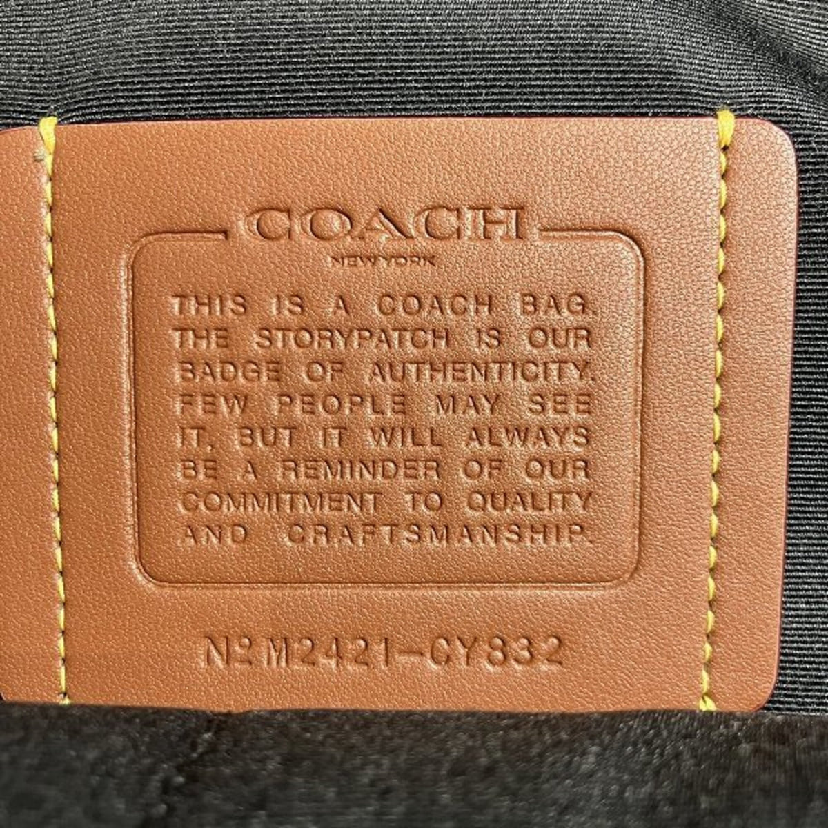 Coach Black Signature Line Backpack (Pre-Owned)