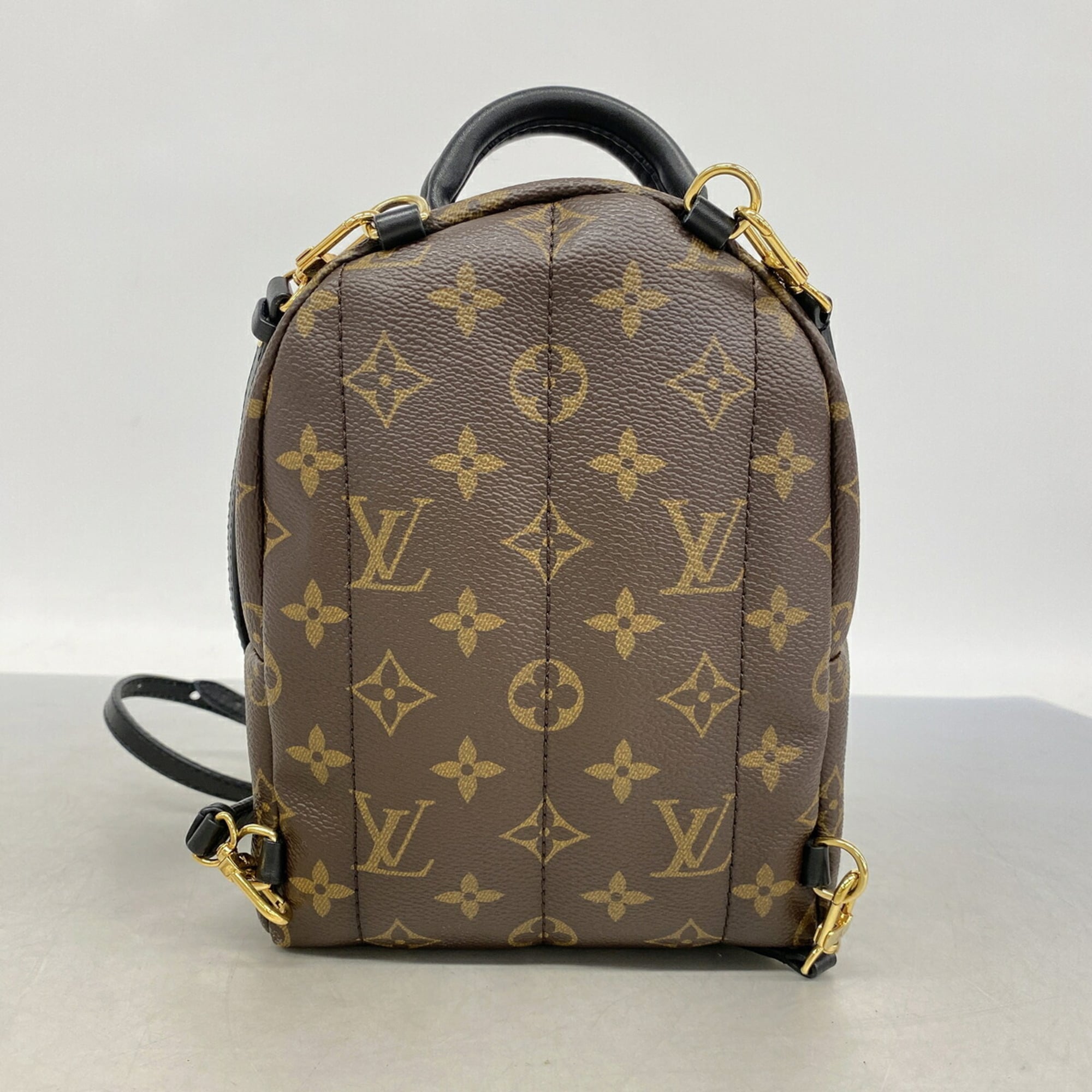 Louis Vuitton Brown Backpack (Pre-Owned)