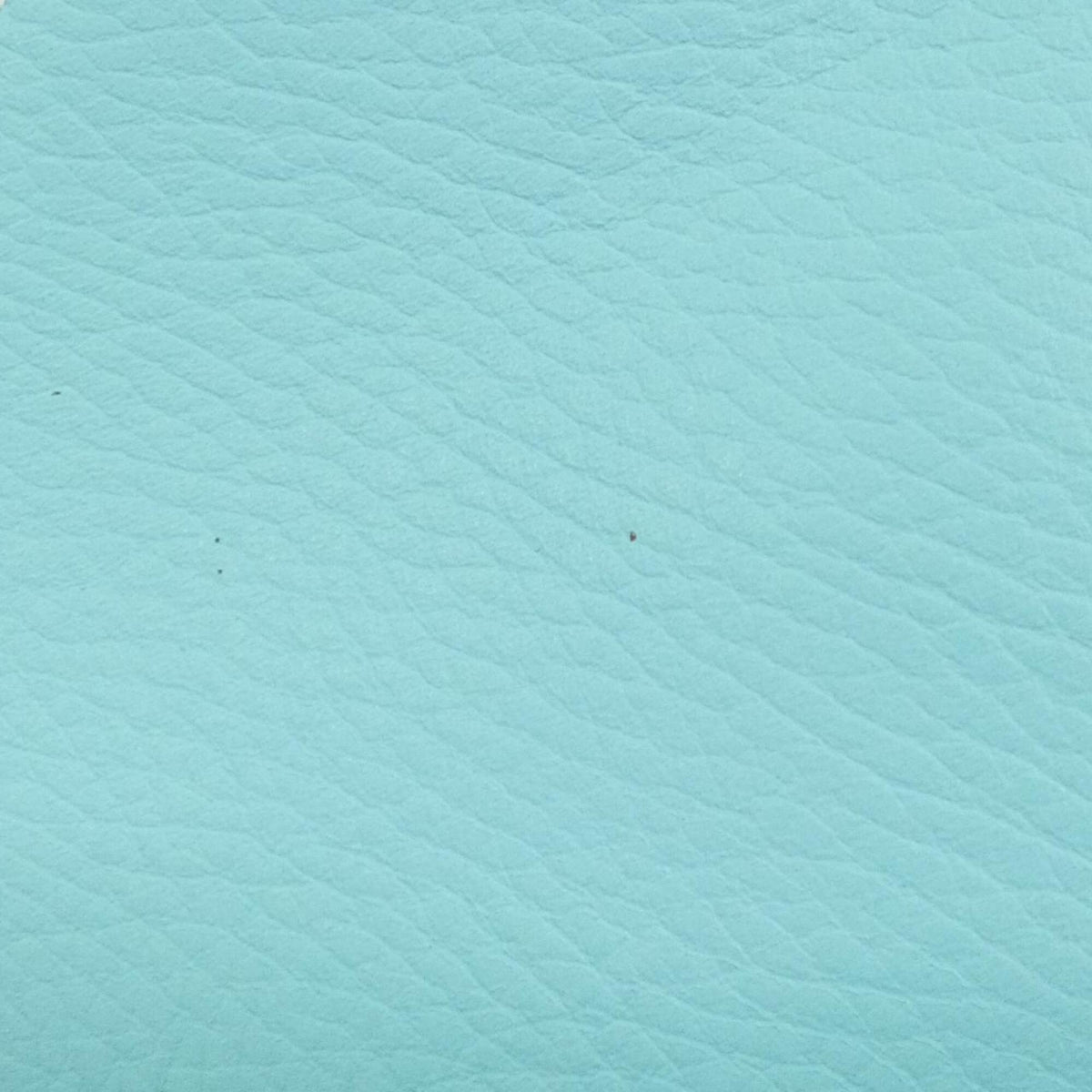 Tiffany Tiffany Blue Canvas Leather Handbag (Pre-Owned)