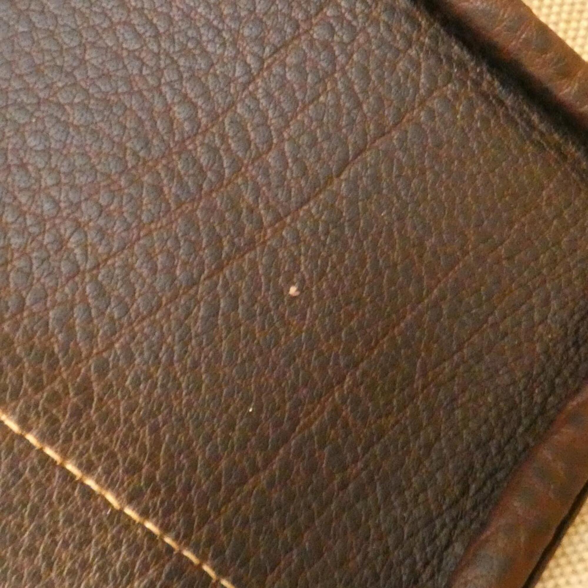 Hermes Brown Toile H Buffle Skipper Leather Handbag (Pre-Owned)