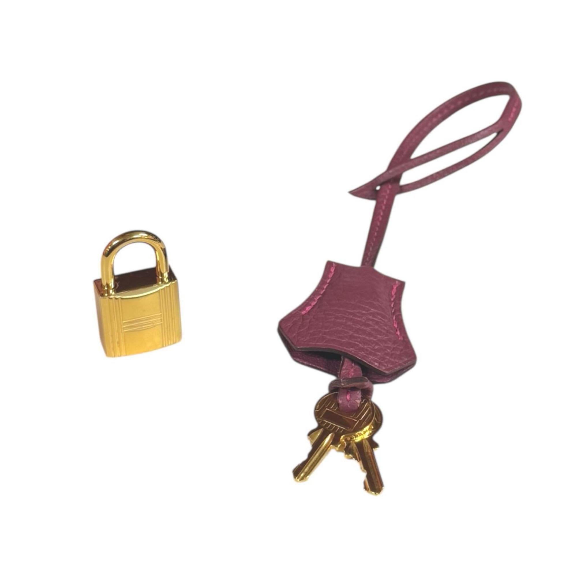 Hermes Bordeaux Orange Red Color Taurillon Clemence Leather Handbag (Pre-Owned)