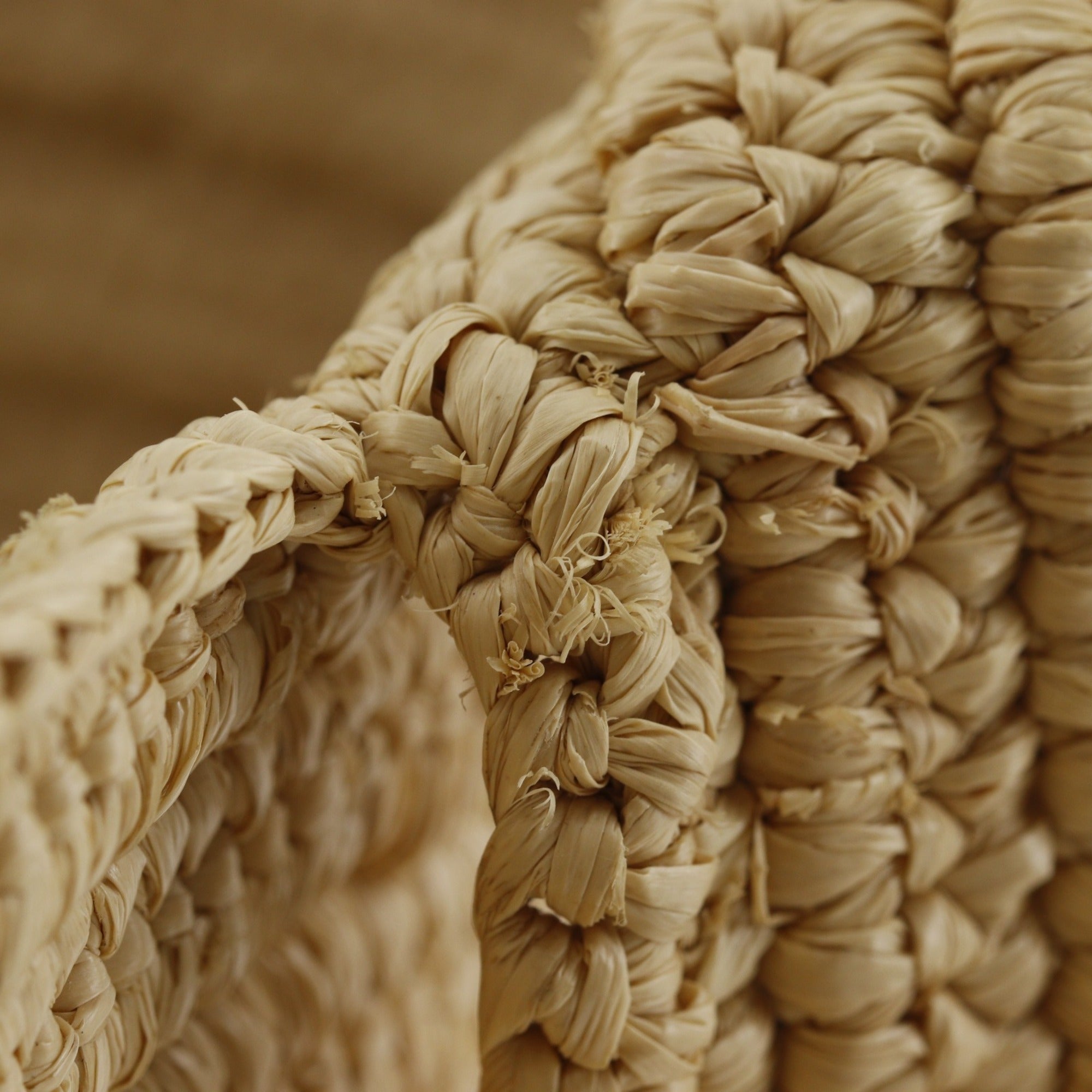 Loewe Beige Yellow Raffia Leather Basket Handbag (Pre-Owned)