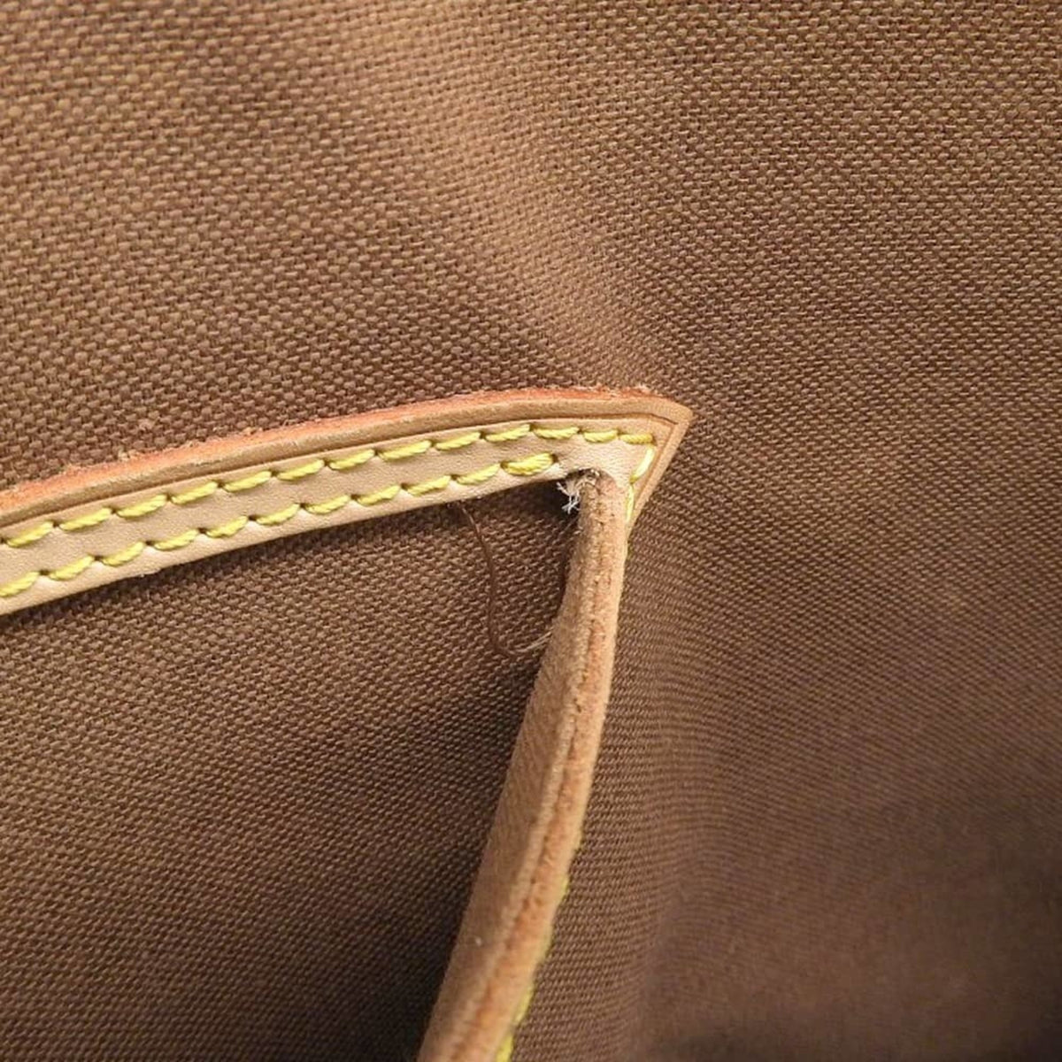 Louis Vuitton Monogram Pvc Leather Handbag (Pre-Owned)