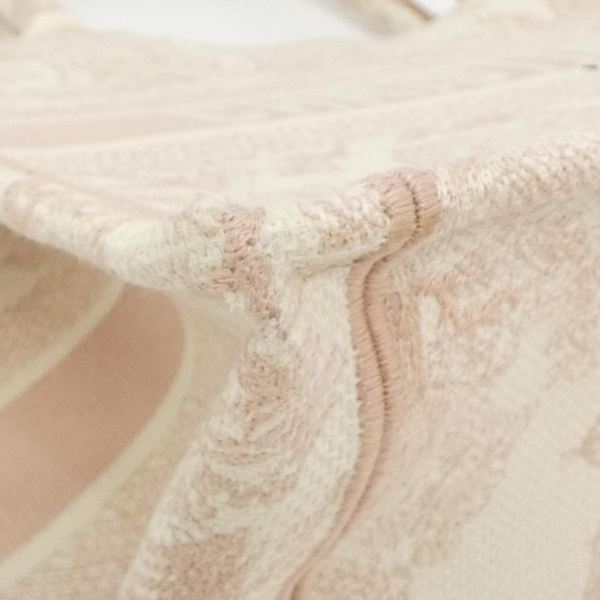 Christian Dior Pink Canvas Handbag (Pre-Owned)